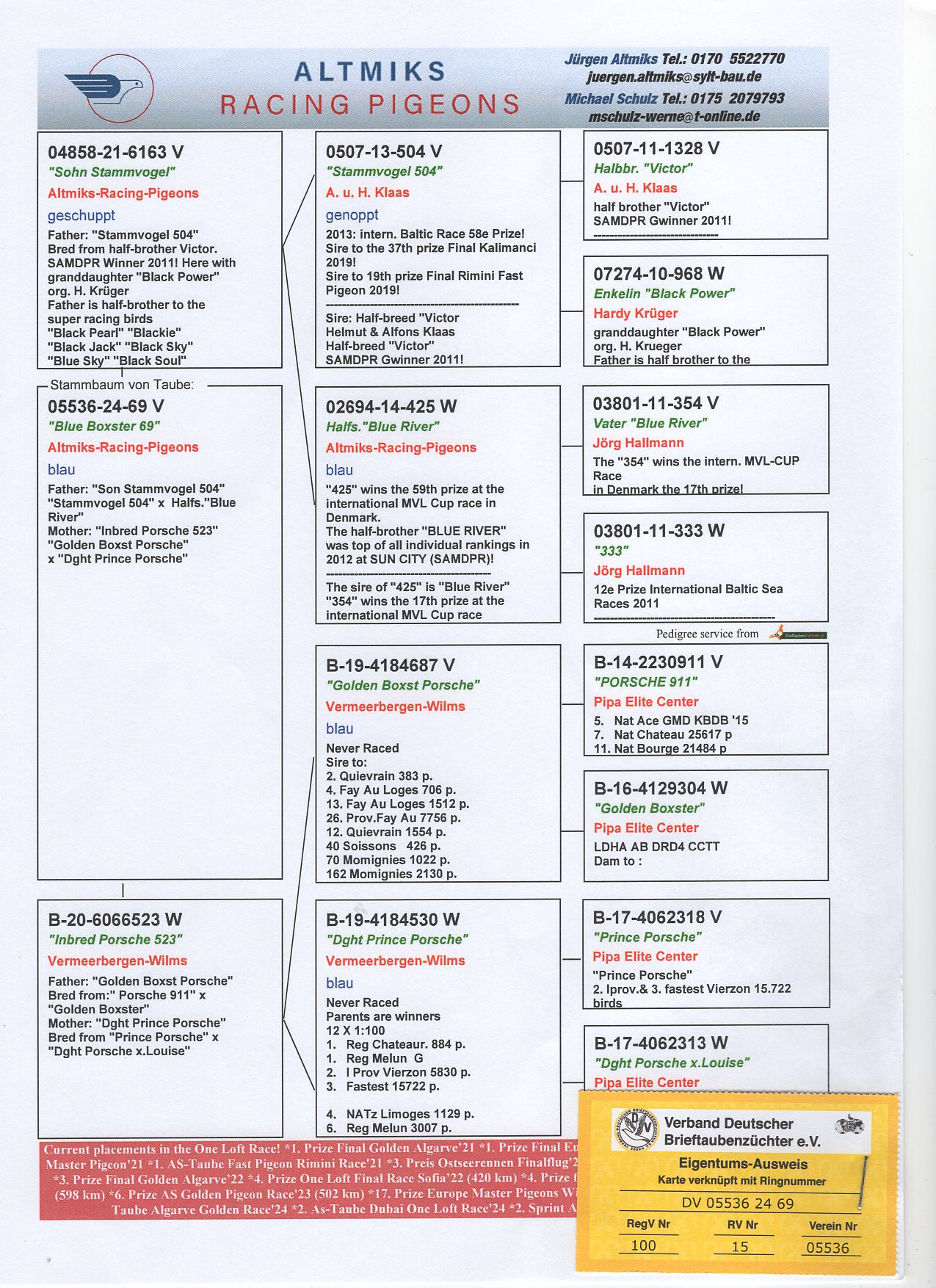 DV 5536 24 69 - INBRED "PORSCHE 911"