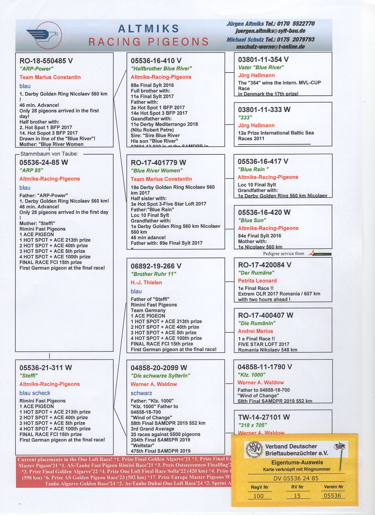 DV 5536 24 85 - 1 NIKOLAEV GOLDEN RING x 1 ACE RIMINI OLR