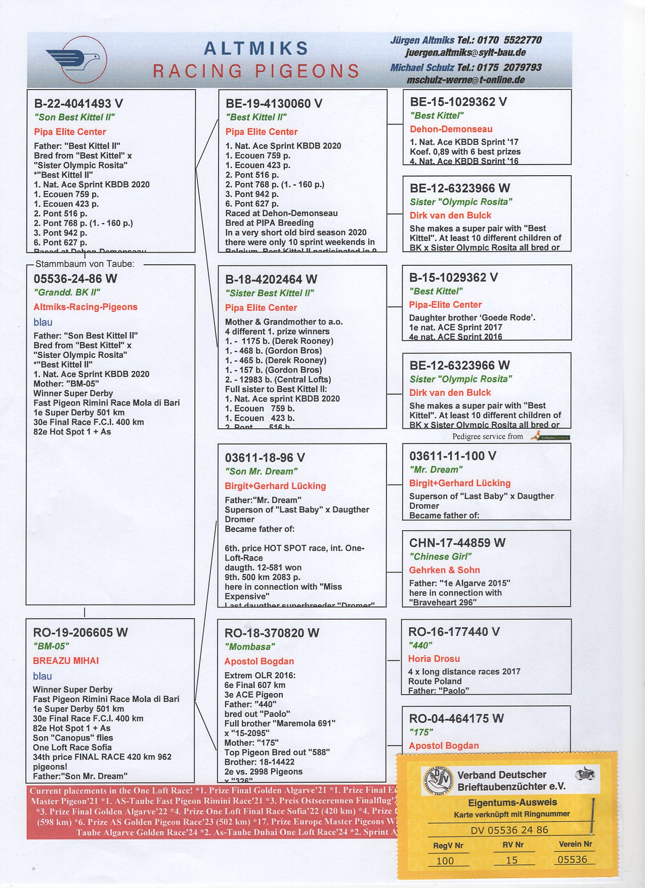 DV 5536 24 86 - SON "BEST KITTEL II" x 1 SUPER DERBY RIMINI OLR