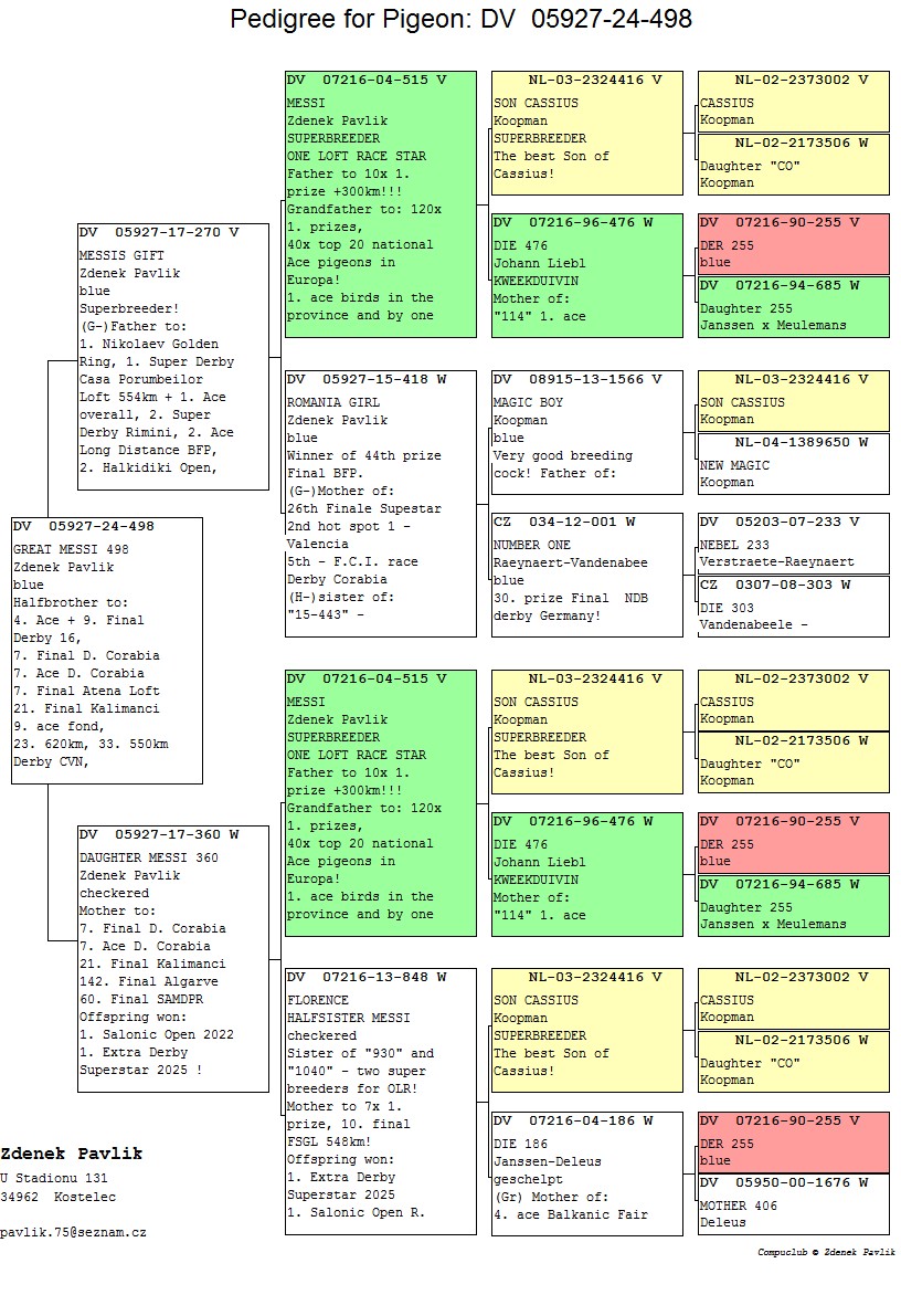 DV 5927 24 498 M - Double grandson CORABIA MESSI