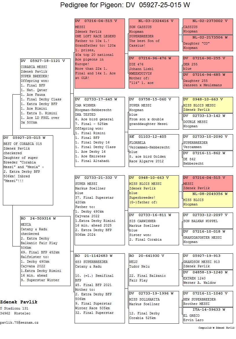 DV 5927 25 15 F - CORABIA MESSI x 2 Extra Final BFP (506 km)