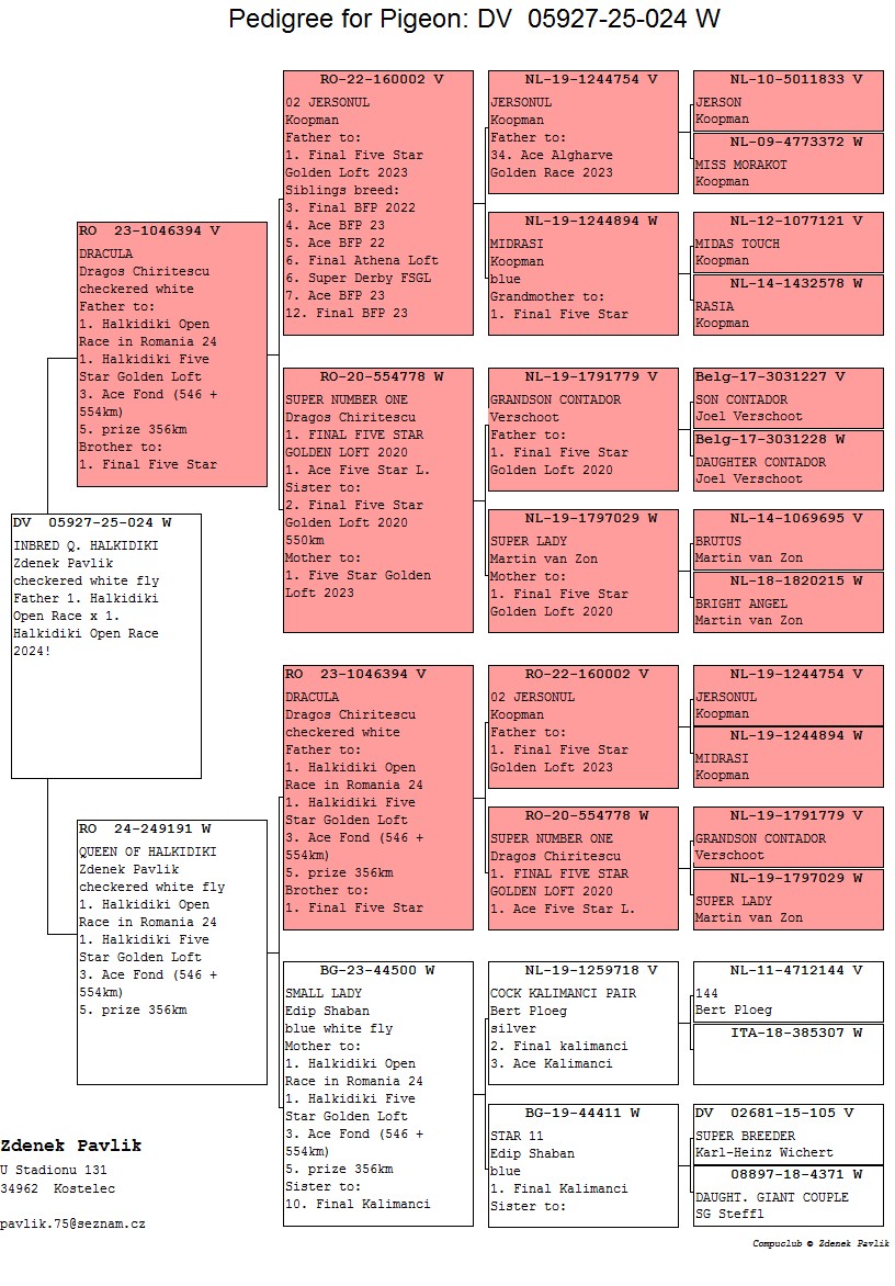 DV 5927 25 24 F - Father 1 Halkidiki Open Race x 1 Halkidiki Open Race