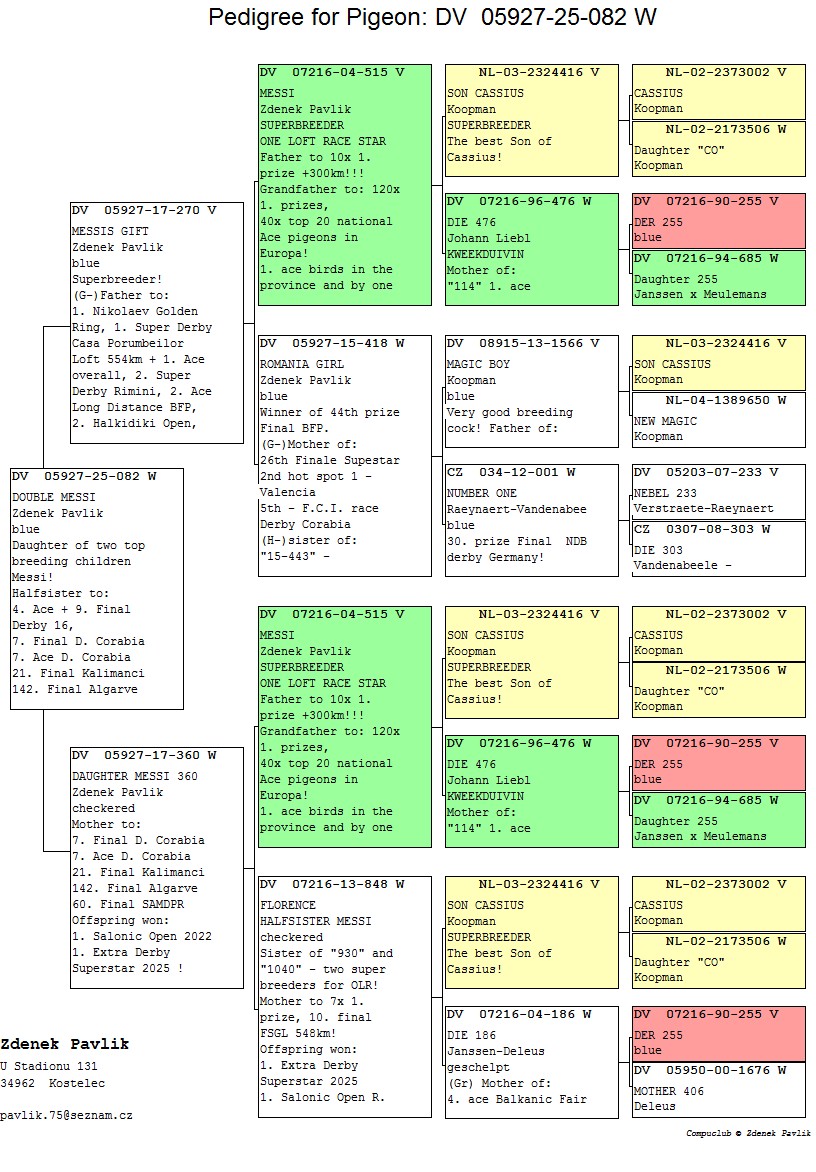 DV 5927 25 82 F - Double granddaughter MESSI