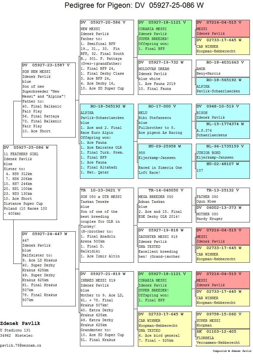DV 5927 25 86 F - Inbred CORABIA MESSI