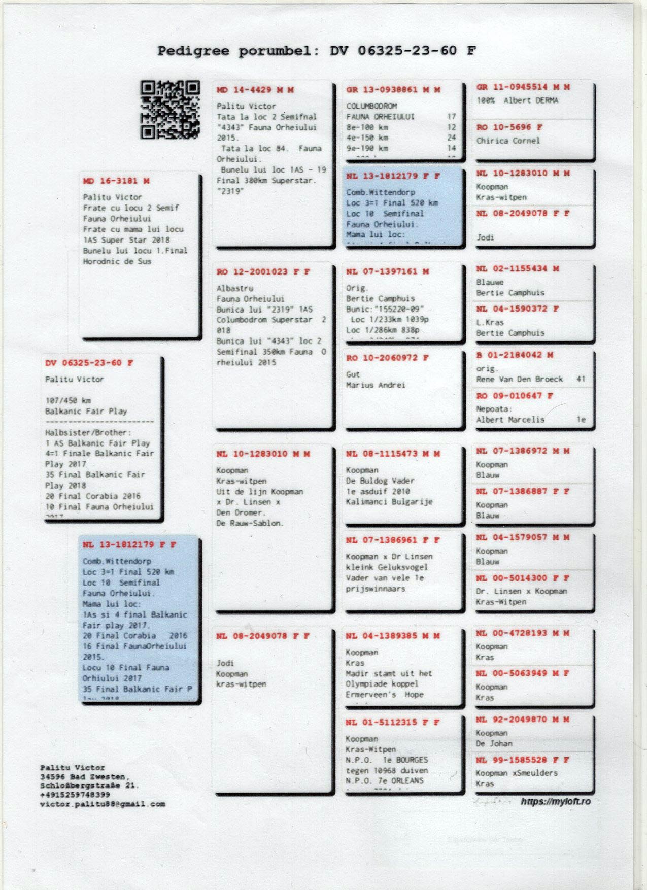 DV 6325 23 60 F - Half sister Victoria, 4=1 Final BFP (1 Ace)