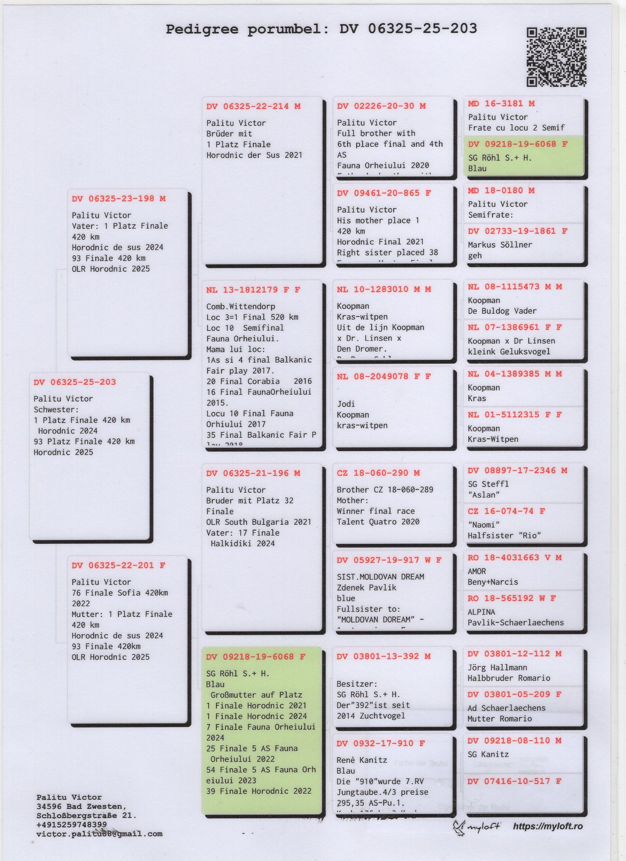 DV 6325 25 203 F - Full sister 1 Final Horodnic OLR 2024