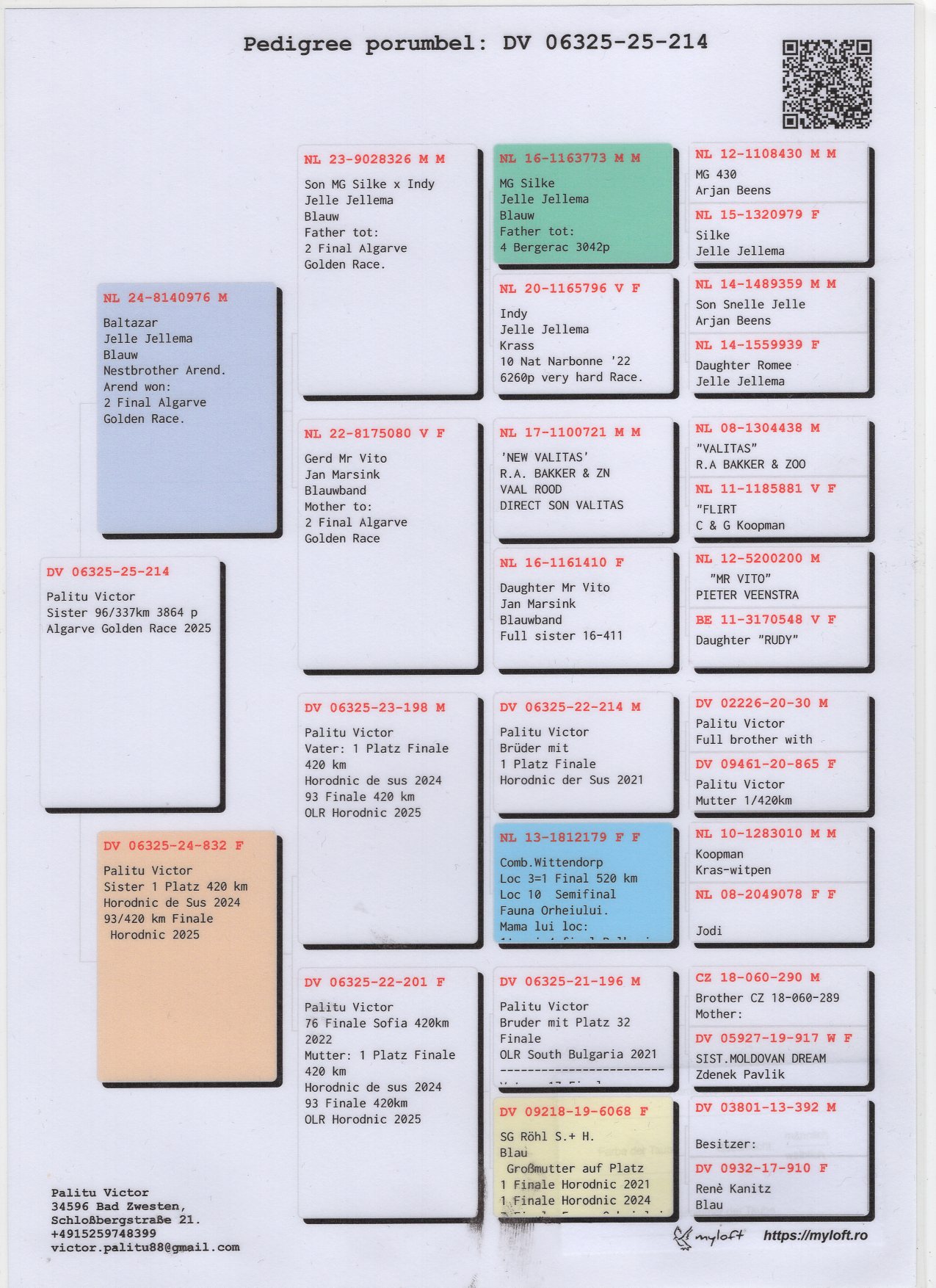 DV 6325 25 214 F - Brother 2 Final Algarve Golden x Sister 1 Final Horodnic