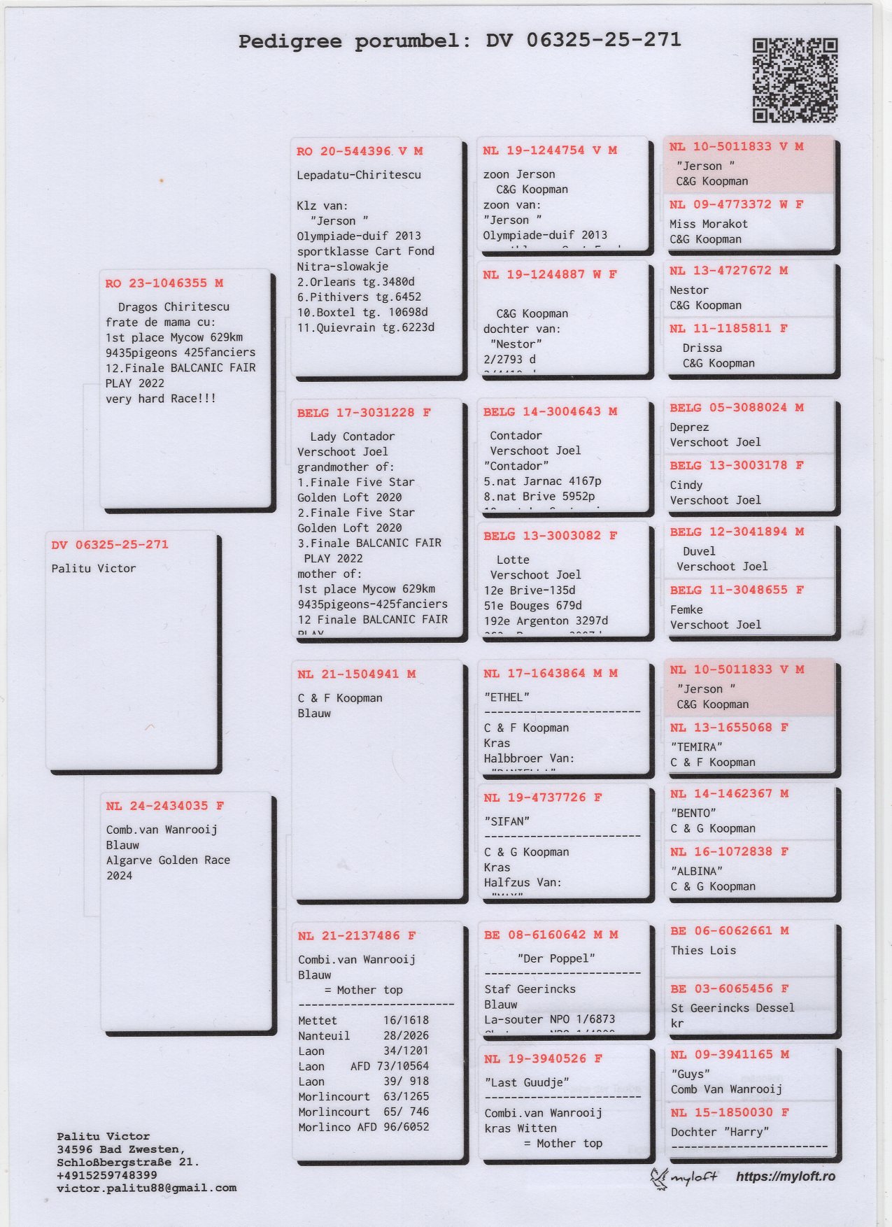 DV 6325 25 271 F - Inbred Jerson (Koopman)