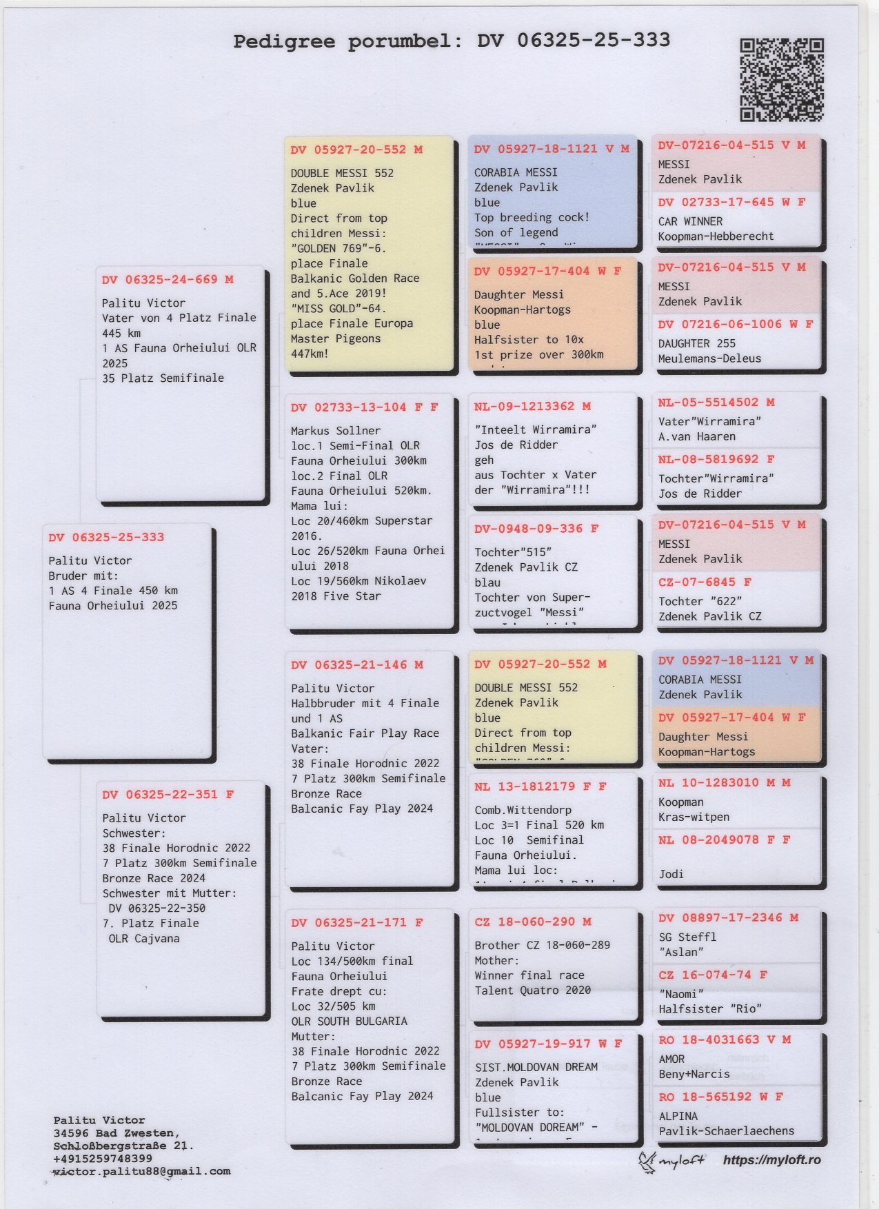 DV 6325 25 333 M - Full brother 1 Ace (4 Final) Fauna OLR