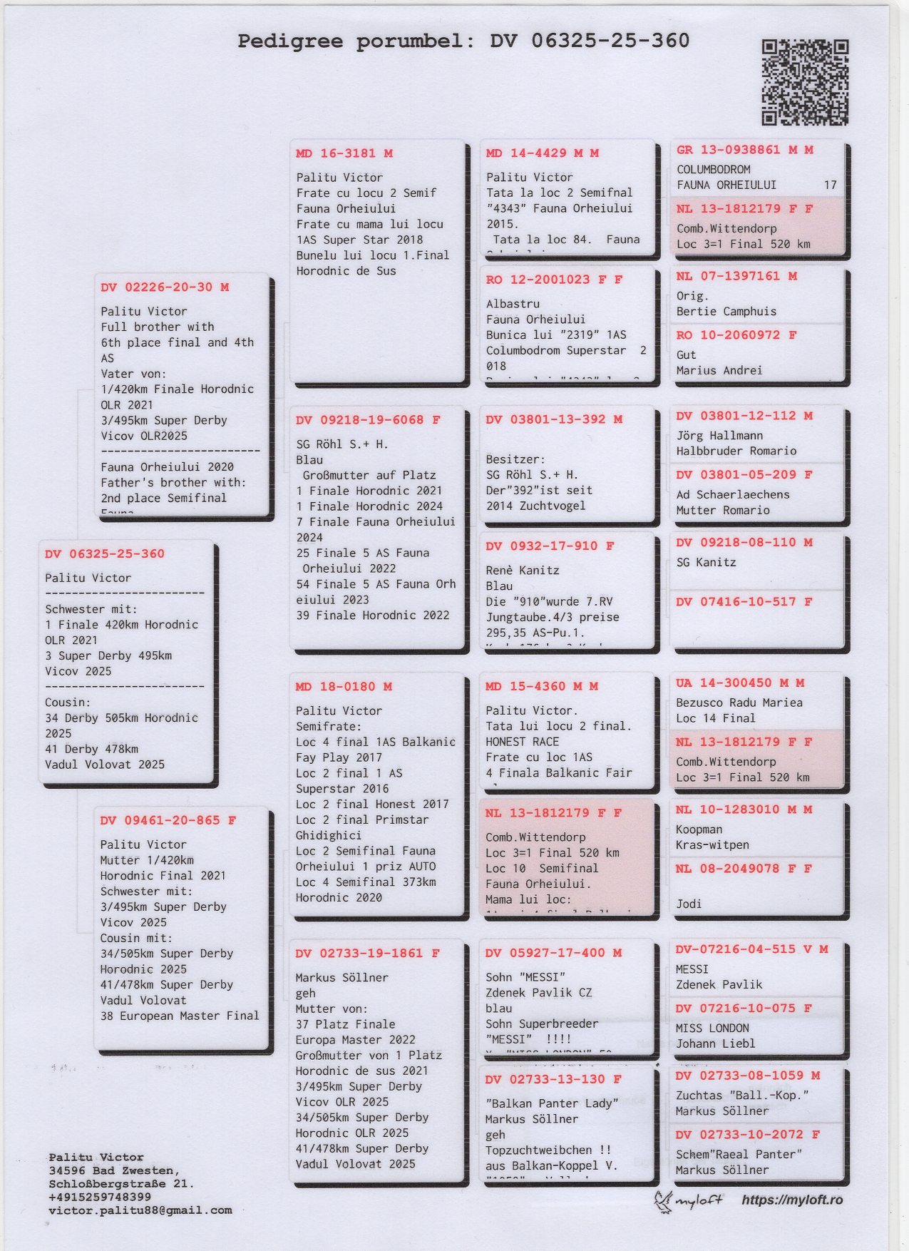 DV 6325 25 360 F - Full sister 1 Final Horodnic OLR 2021