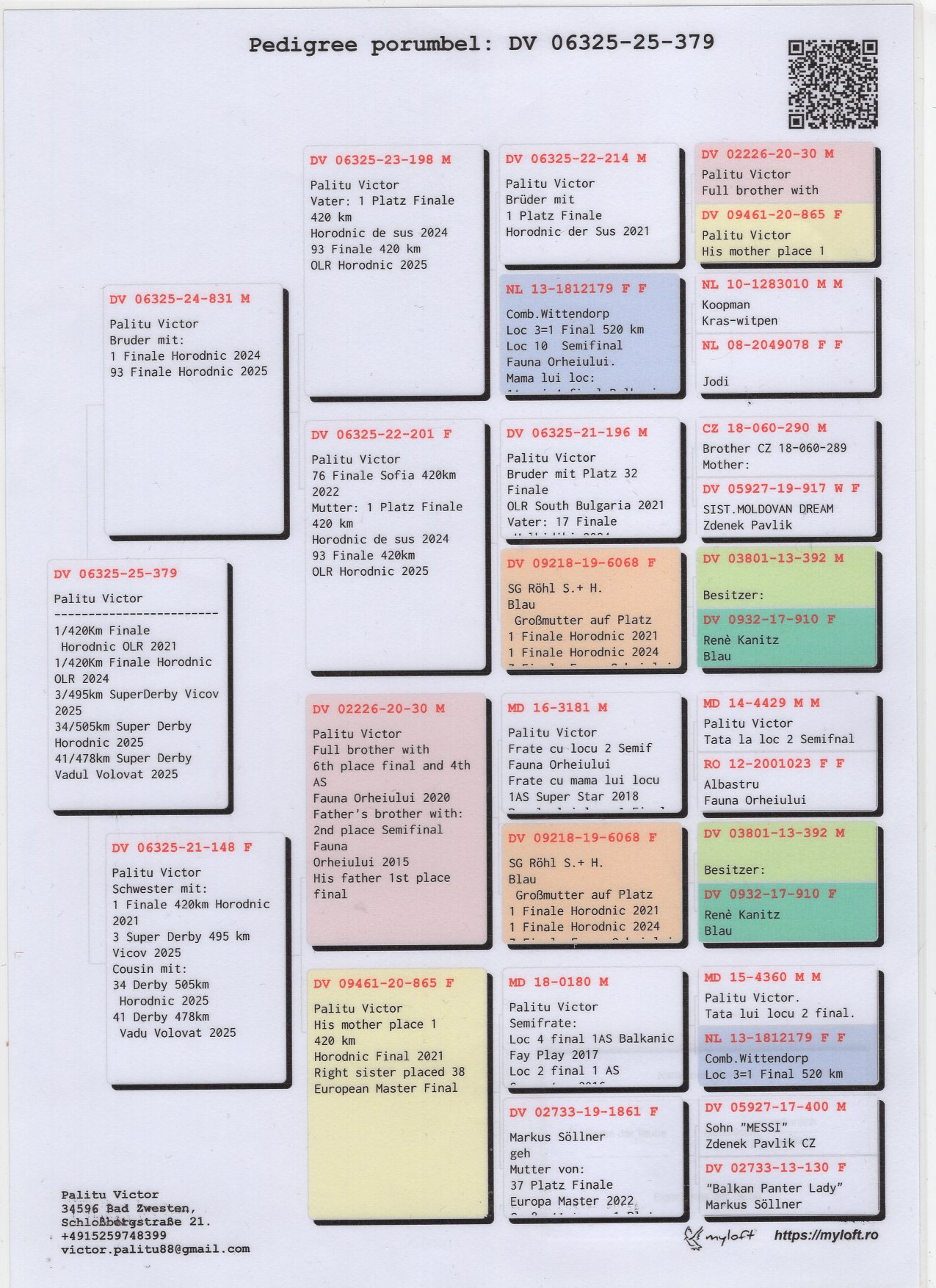 DV 6325 25 379 M - Brother 1 Final Horodnic 2024 x Sister 1 Final Horodnic 2021