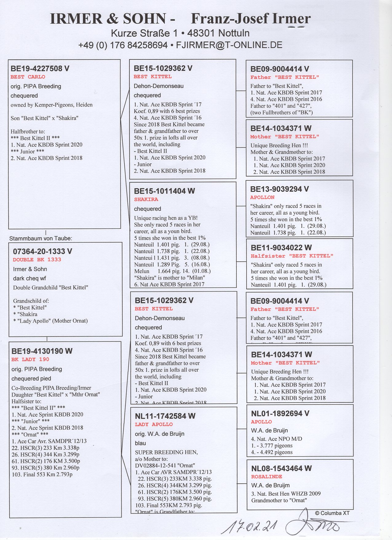 DV 7364 20 1333 M - Double grandson Best Kittel
