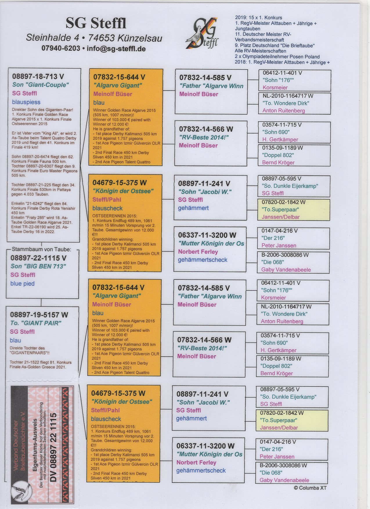 DV 8897 22 1115 M - SG STEFFL - Double grandson Giant Couple