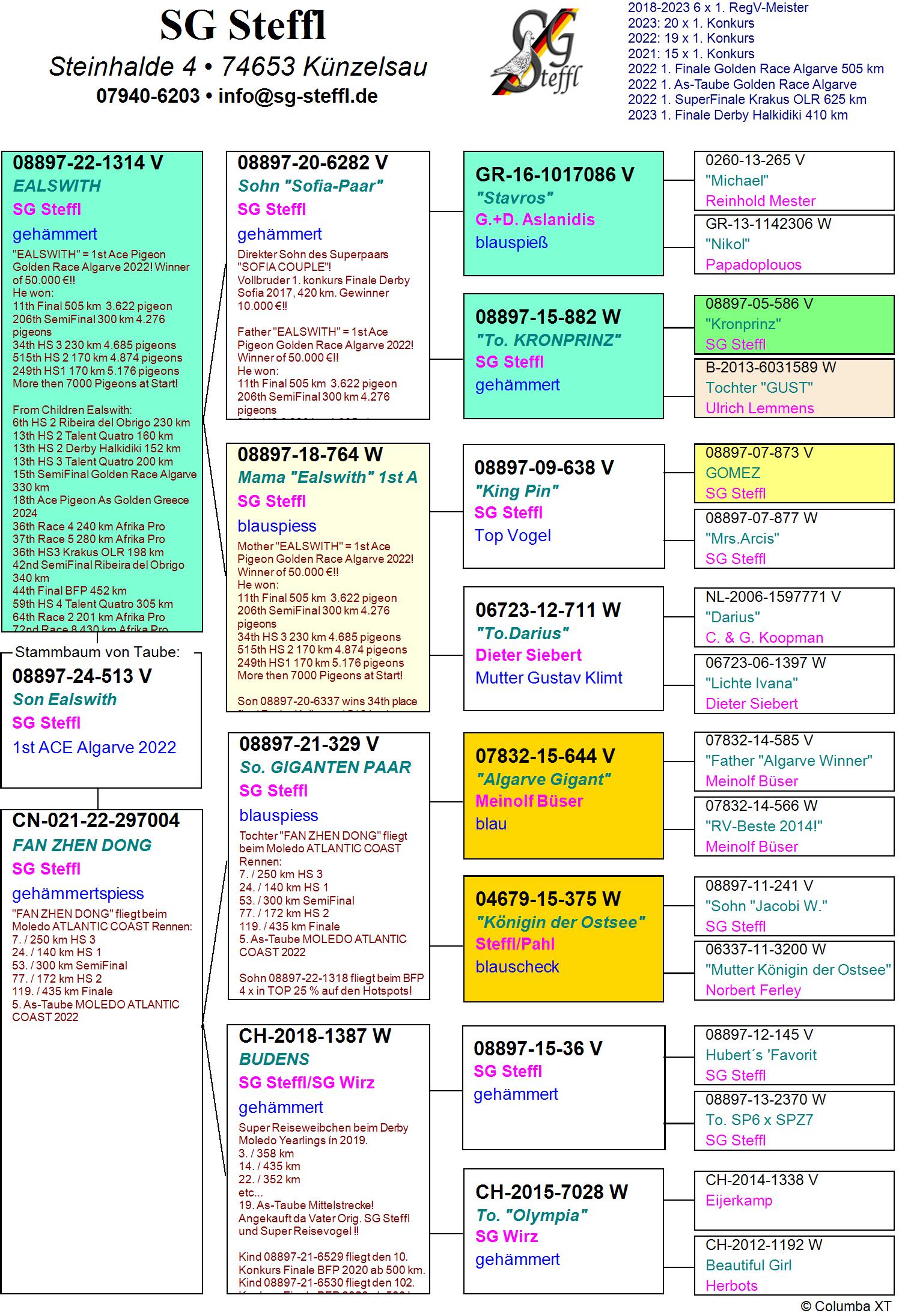 DV 8897 24 513 M - SG STEFFL - Son EALSWITH 1 Ace pigeon Algarve Golden Race