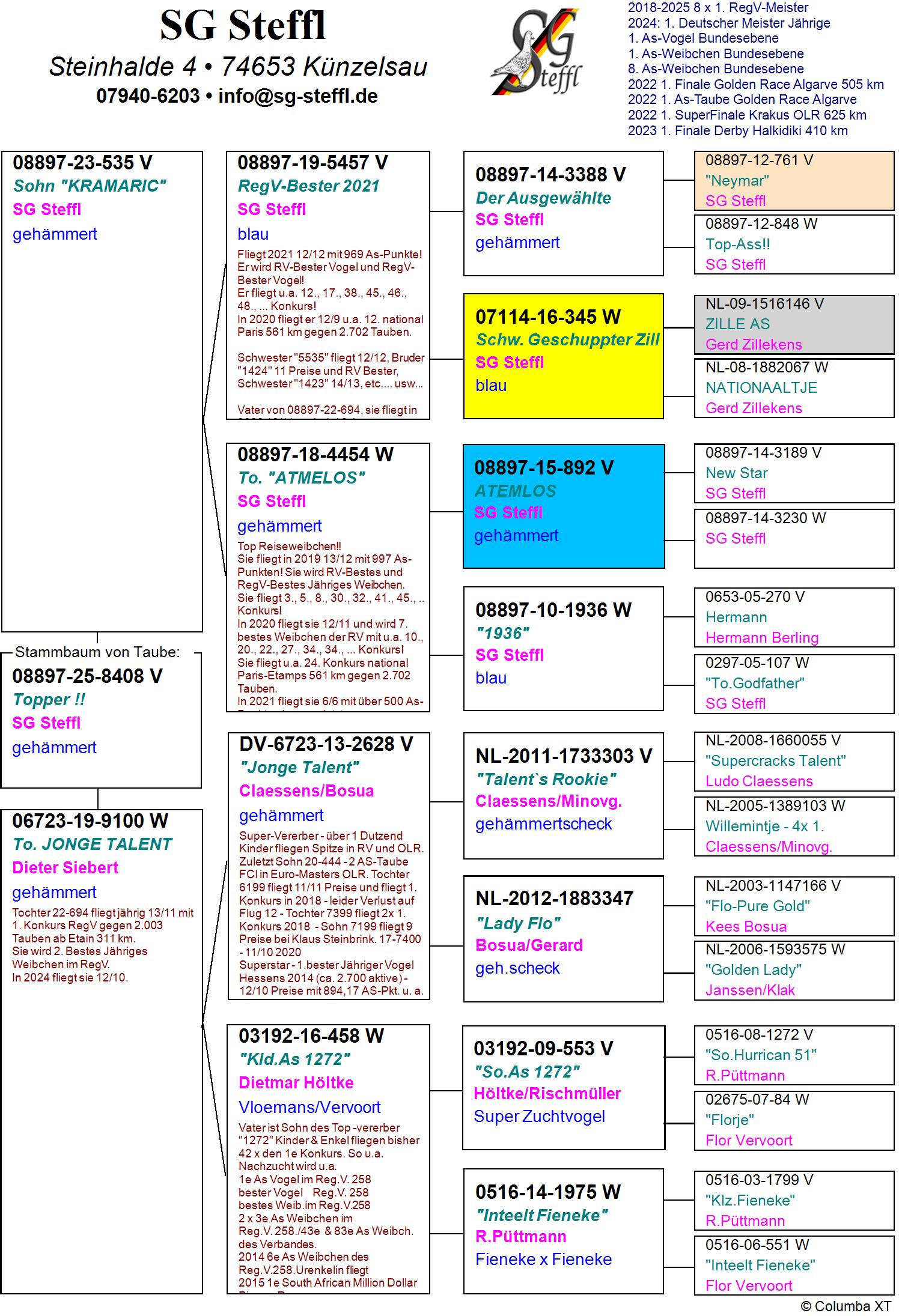 DV 8897 25 8408 M - GRANDSON JONGE TALENT