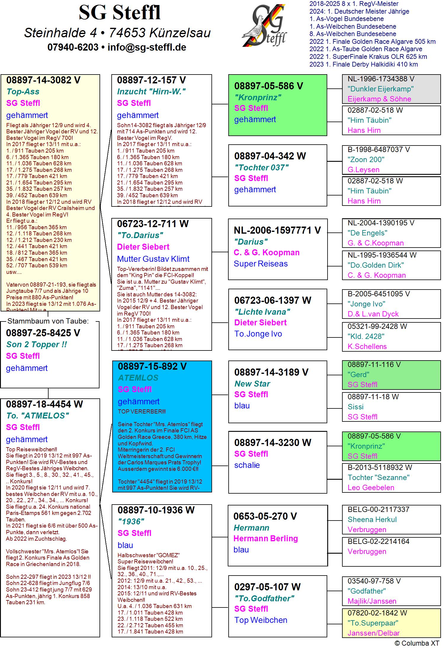 DV 8897 25 8425 M - SON SUPER RACER TOP-ASS