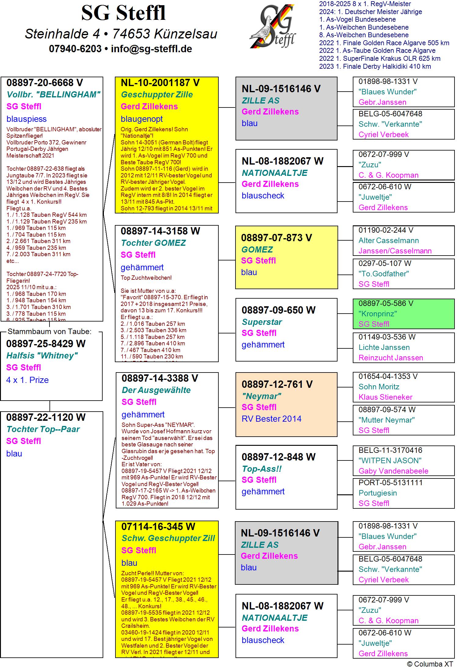 DV 8897 25 8429 F - HALF SISTER 4x 1 PRIZE