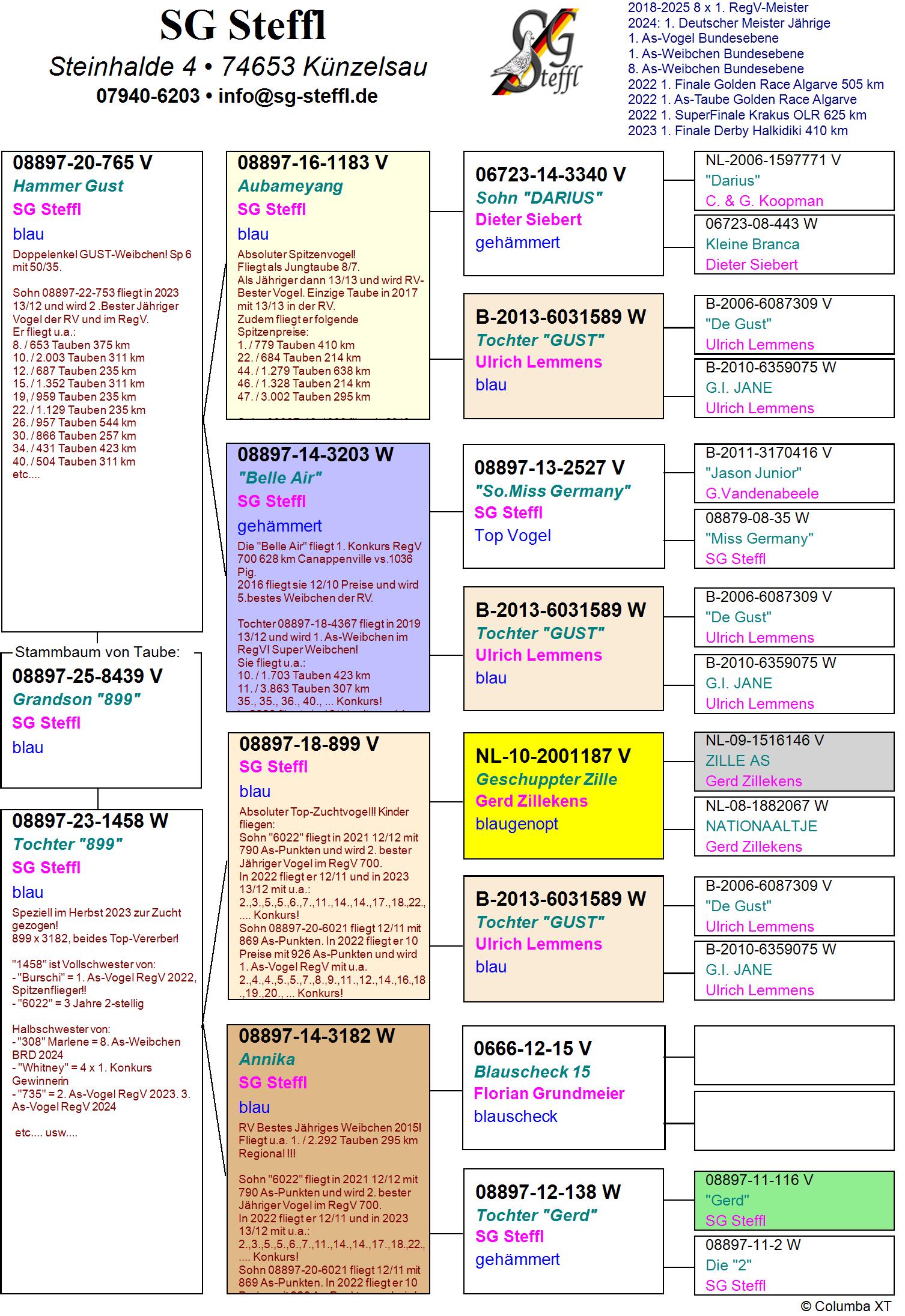 DV 8897 25 8439 M - HALF BROTHER 2 BEST RV YEARLING