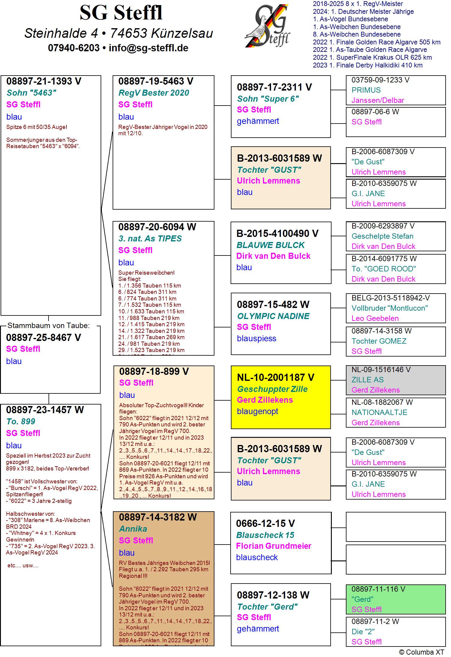 DV 8897 25 8467 M - GRANDSON SUPER BREEDER 899