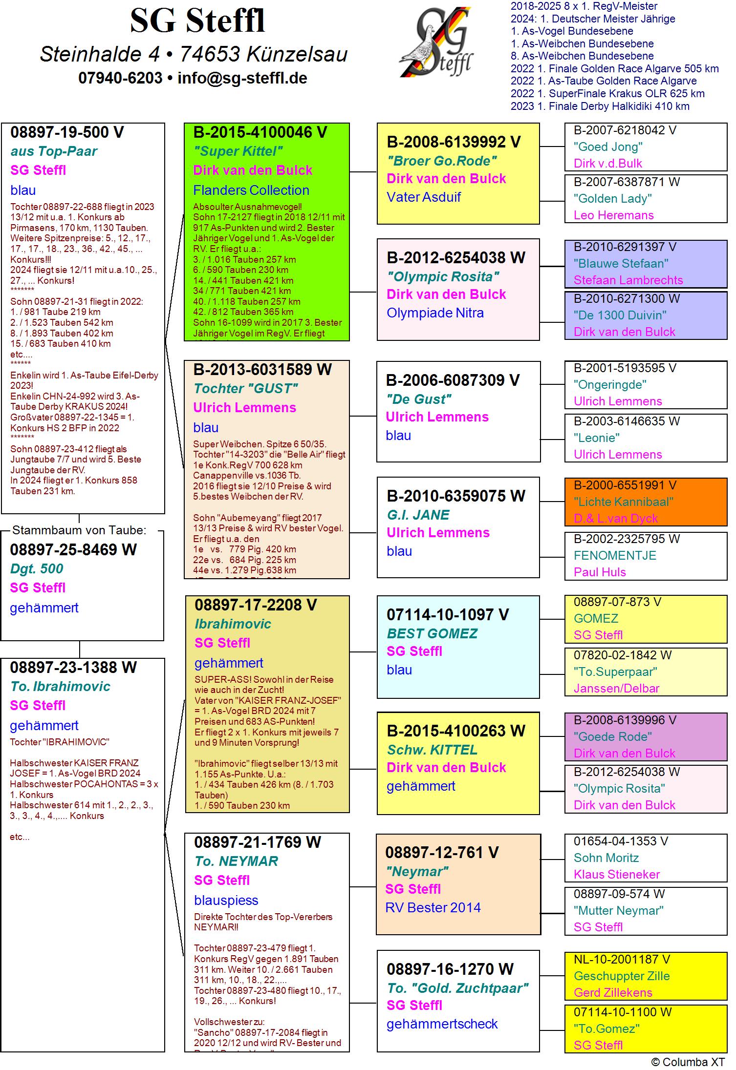 DV 8897 25 8469 F - GRANDDAUGHTER SUPERS: IBRAHIMOVIC / SUPER KITTEL