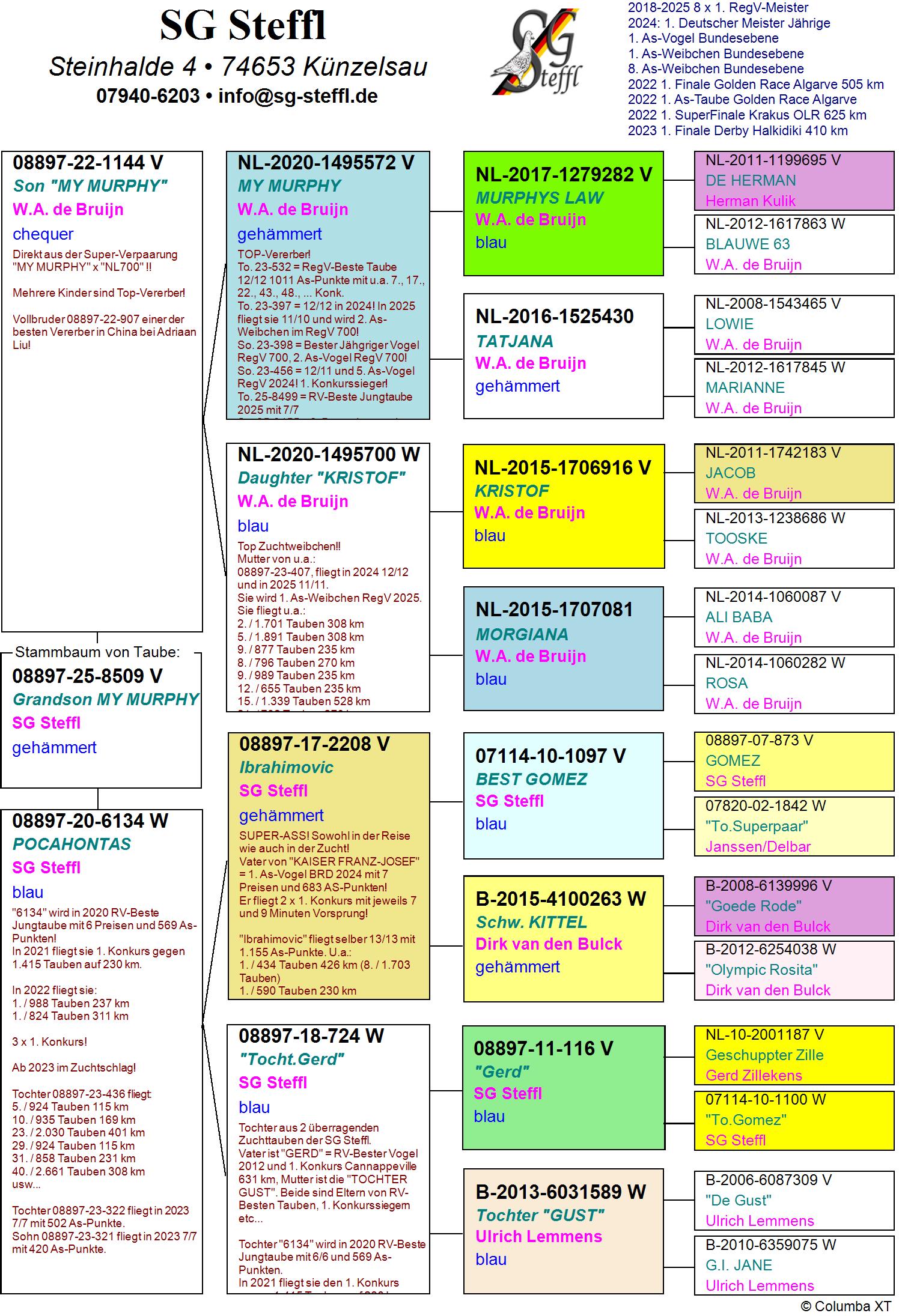 DV 8897 25 8509 M - GRANDSON MY MURPHY (DE BRUIJN)