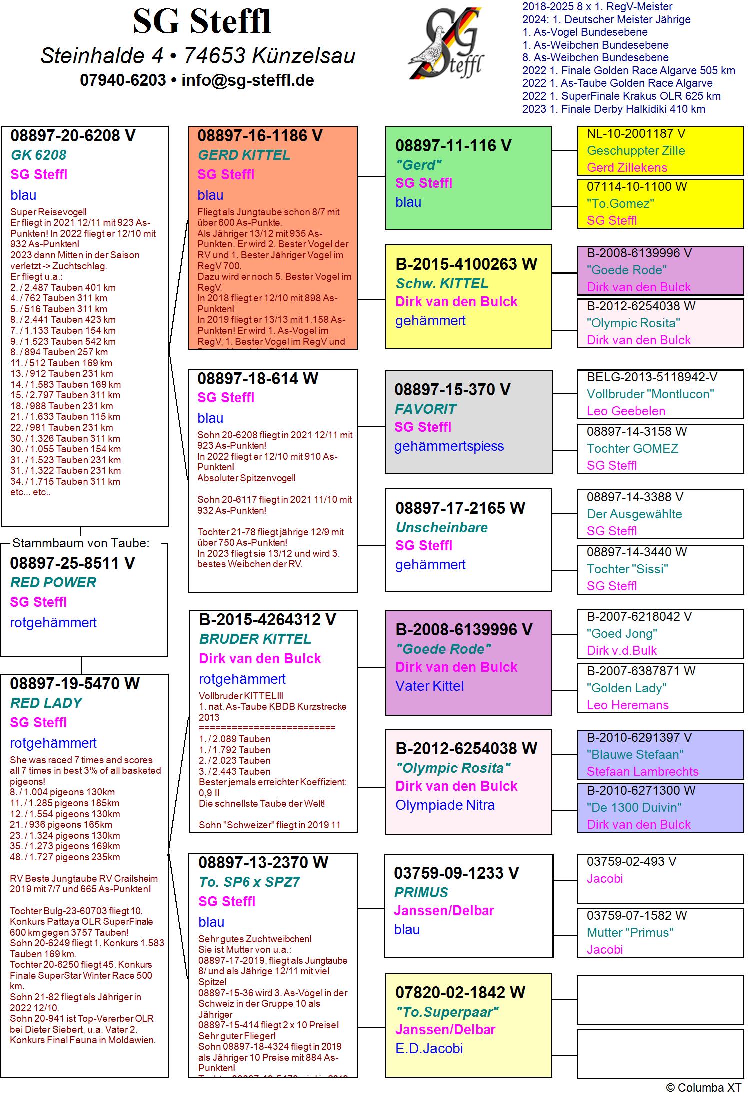 DV 8897 25 8511 M - SON OF 2 SUPER RACERS