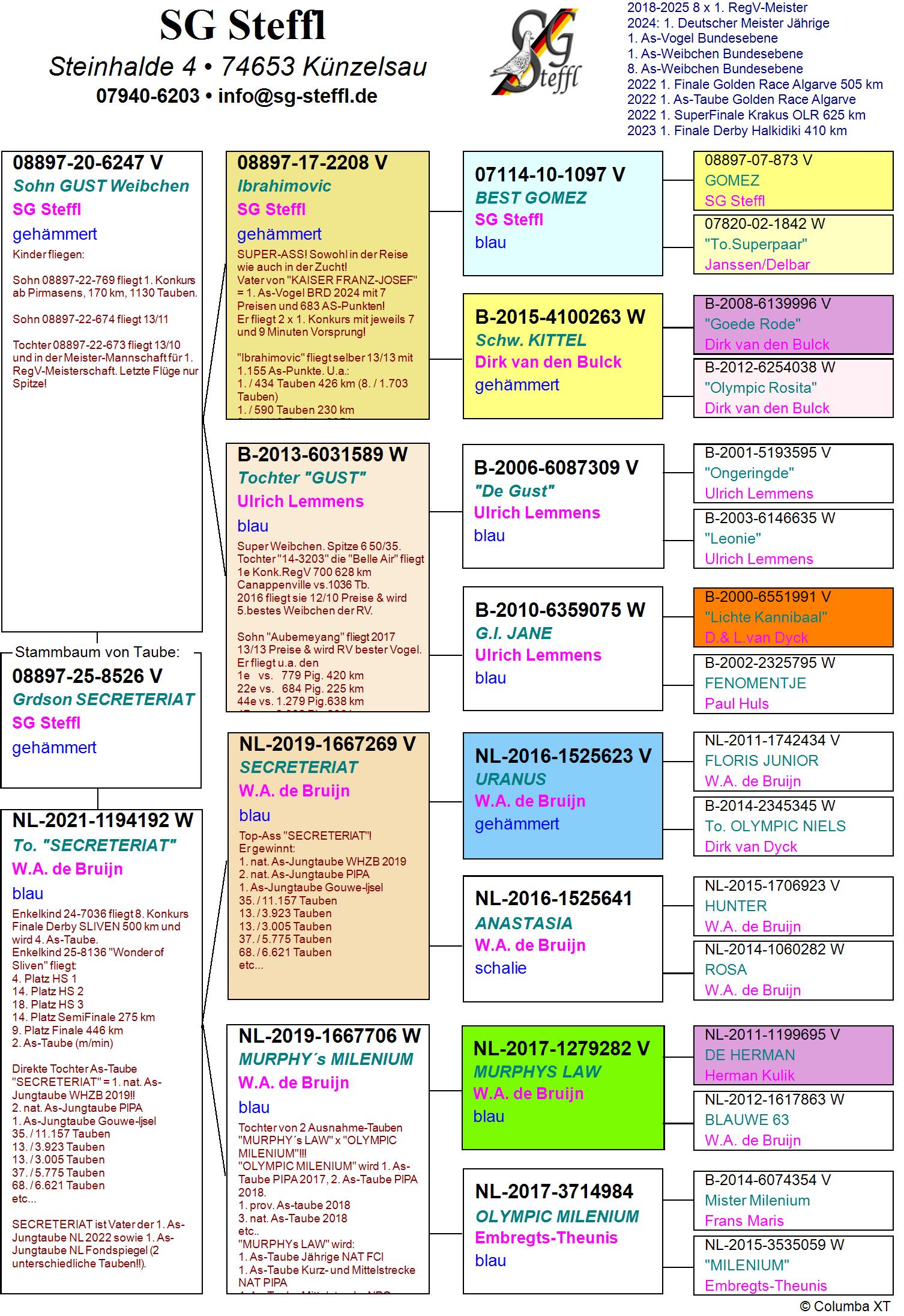 DV 8897 25 8526 M - GRANDSON SECRETARIAT (DE BRUIJN)