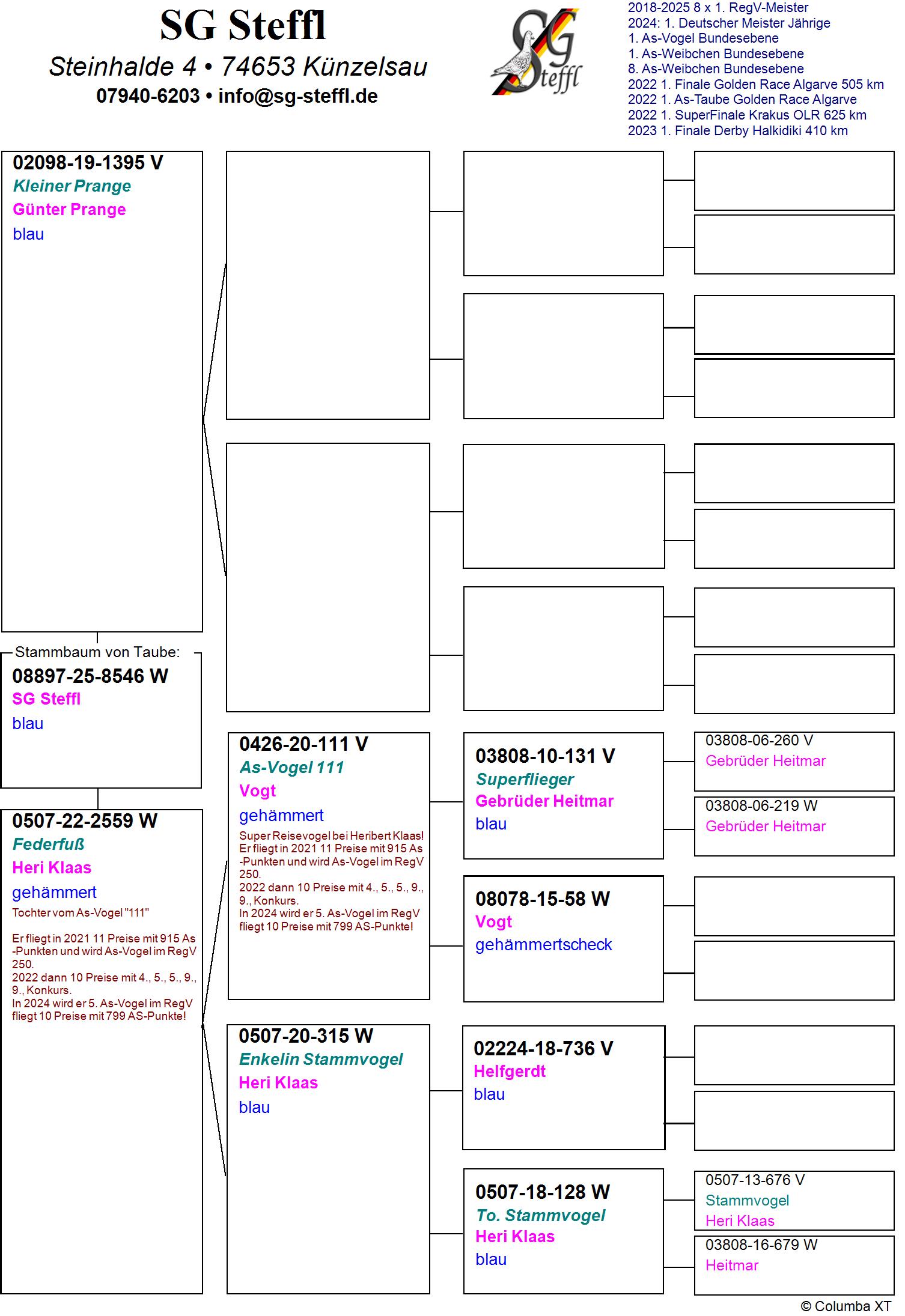 DV 8897 25 8546 F - GRANDDAUGHTER SUPER RACER AS-VOGEL 111