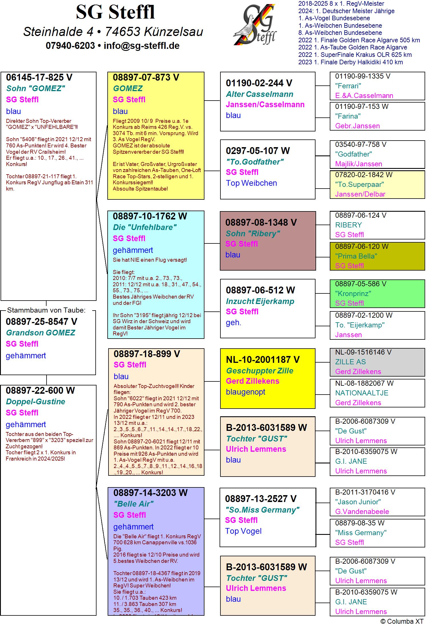 DV 8897 25 8547 M - GRANDSON GOMEZ