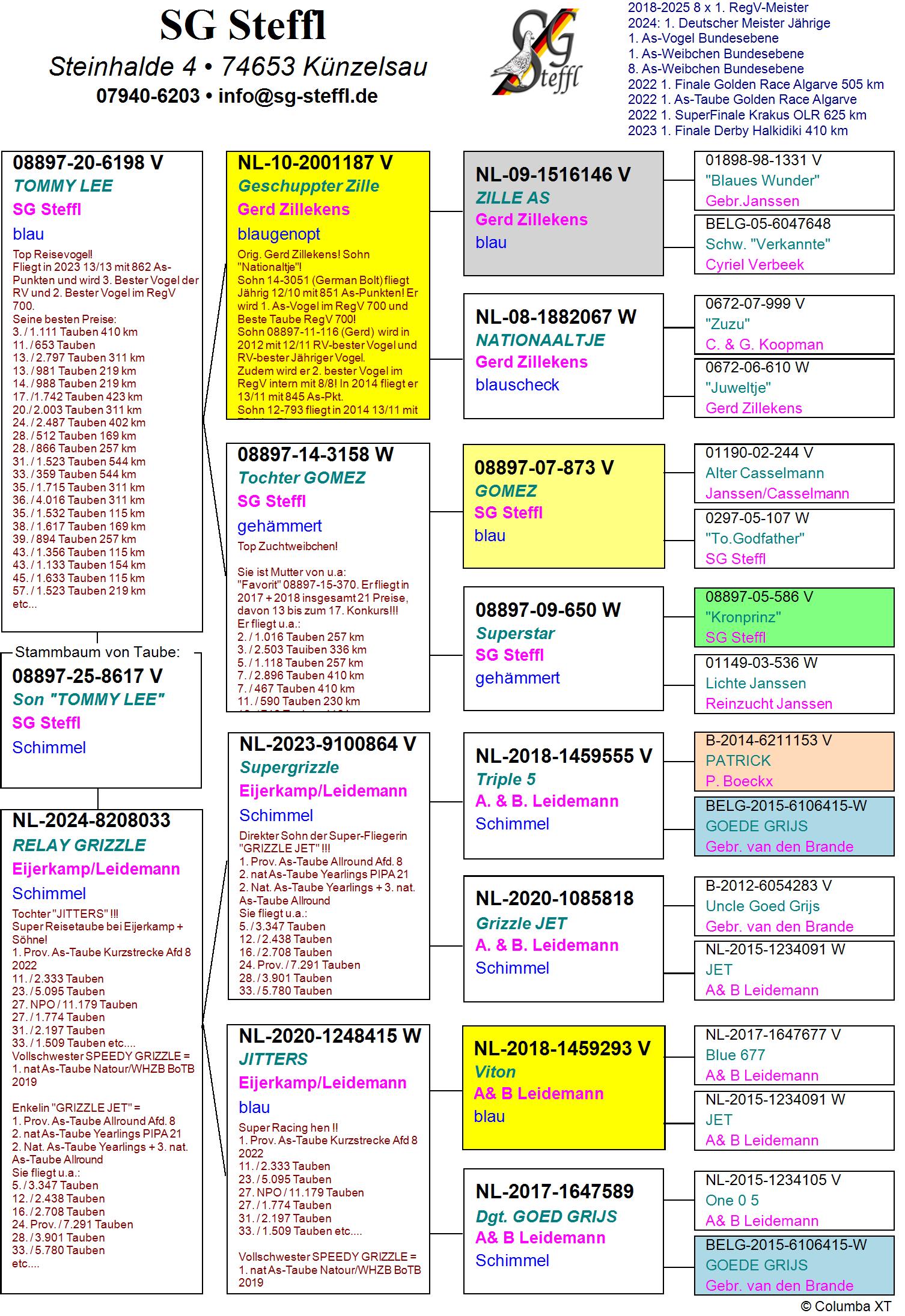 DV 8897 25 8617 M - SON SUPER RACER TOMMY LEE