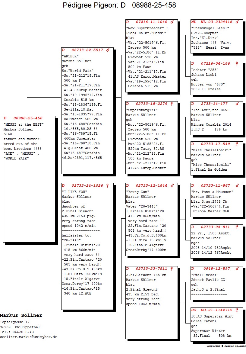 DV 8988 25 432 F - Granddaughter World Pair