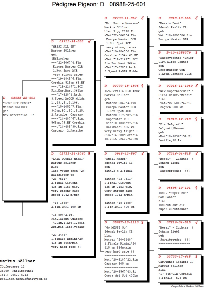 DV 8988 25 601 M - Son Messi All In