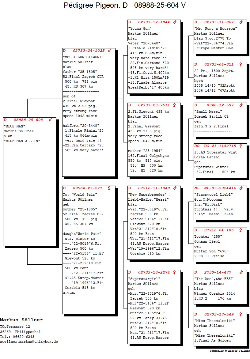 DV 8988 25 604 M - Grandson World Pair