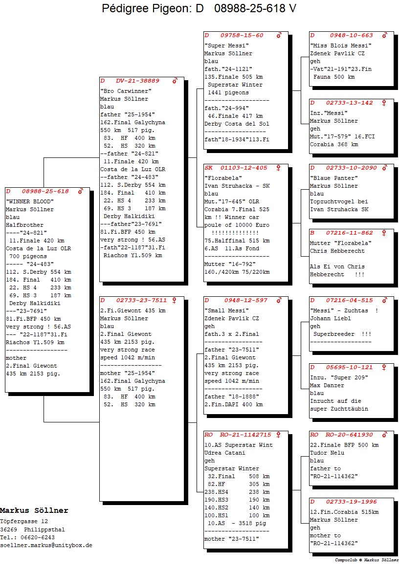DV 8988 25 618 F - Daughter 2 place Final Giewont
