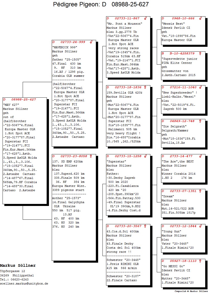 DV 8988 25 627 M - Strong inbreeding Messi
