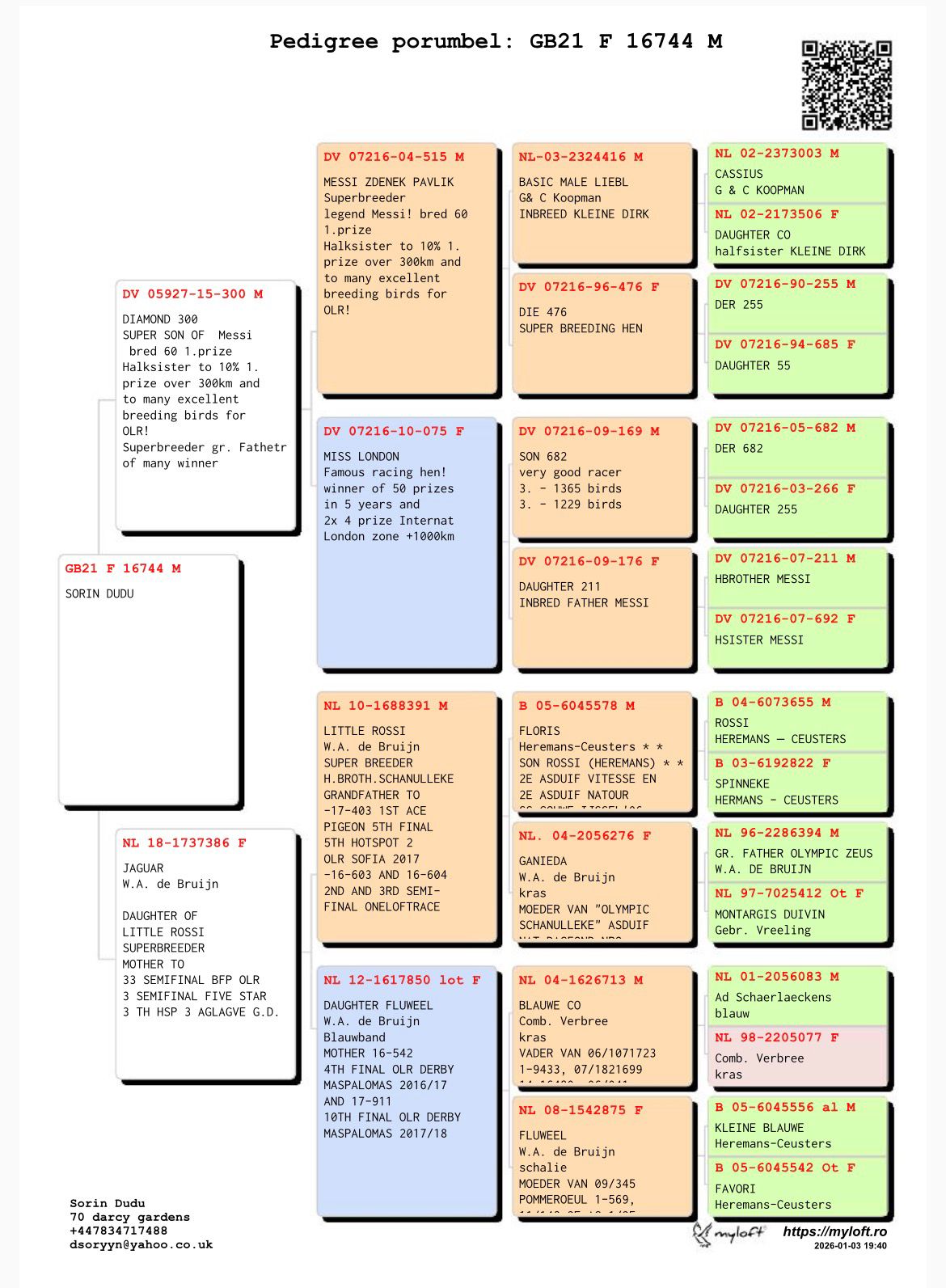 GB 21 F 16744 M - Grandson Messi (Zdenek Pavlik)