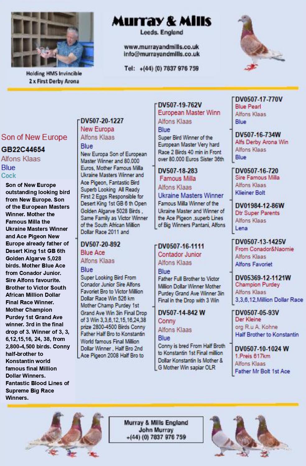 GB 22 A 44654 M - Son NEW EUROPA x BLUE ACE