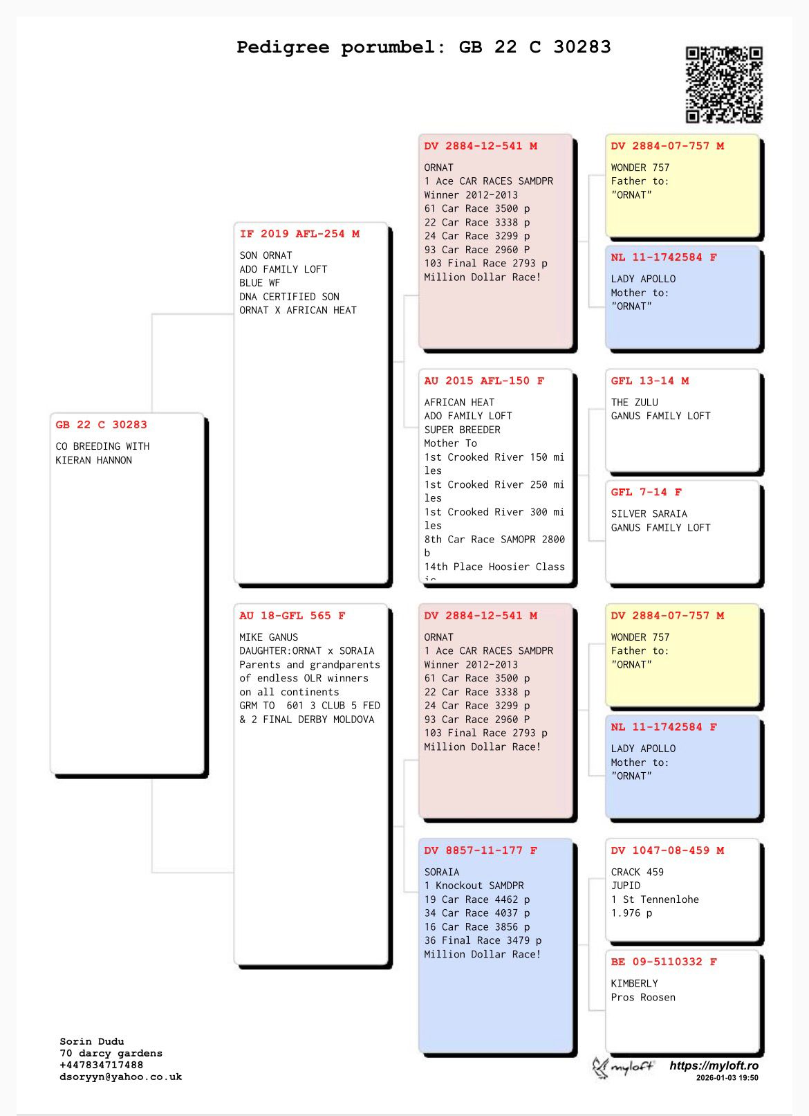 GB 22 C 30283 M - Double grandson Ornat