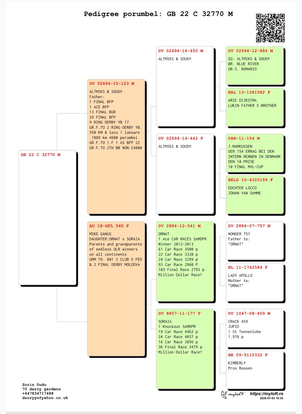 GB 22 C 32770 M - H Brother 1 Final (1 Ace) BFP; Grandson Ornat / Soraia