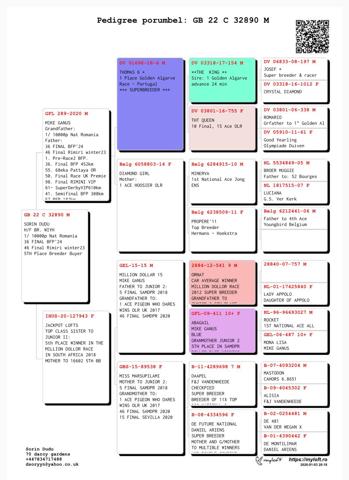 GB 22 C 32890 M - Grandson Thomas 6 (1 Final Algarve Golden Race)