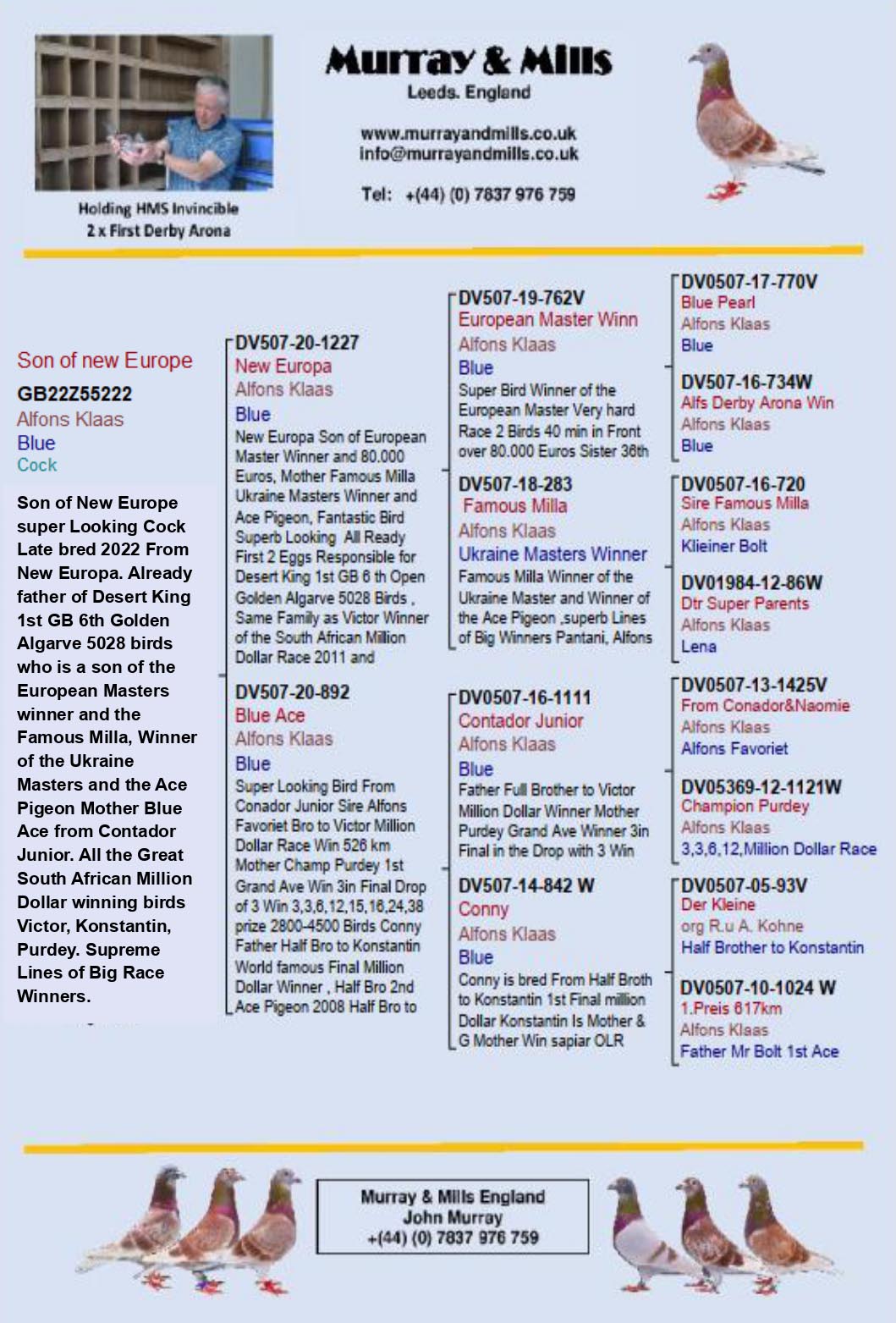 GB 22 Z 55222 M - Son NEW EUROPA x BLUE ACE