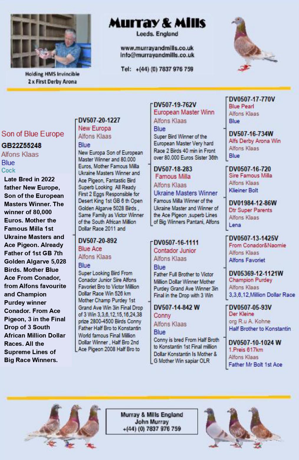 GB 22 Z 55248 M - Son NEW EUROPA x BLUE ACE