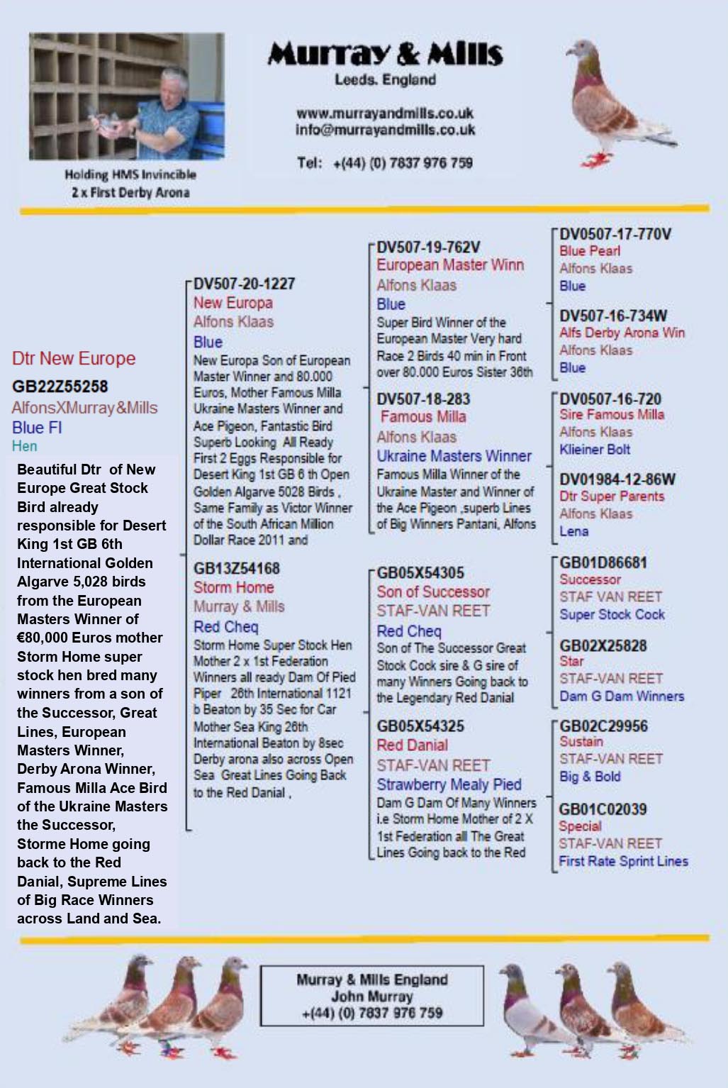 GB 22 Z 55258 F - Half sister 2x 1st Federation Winners