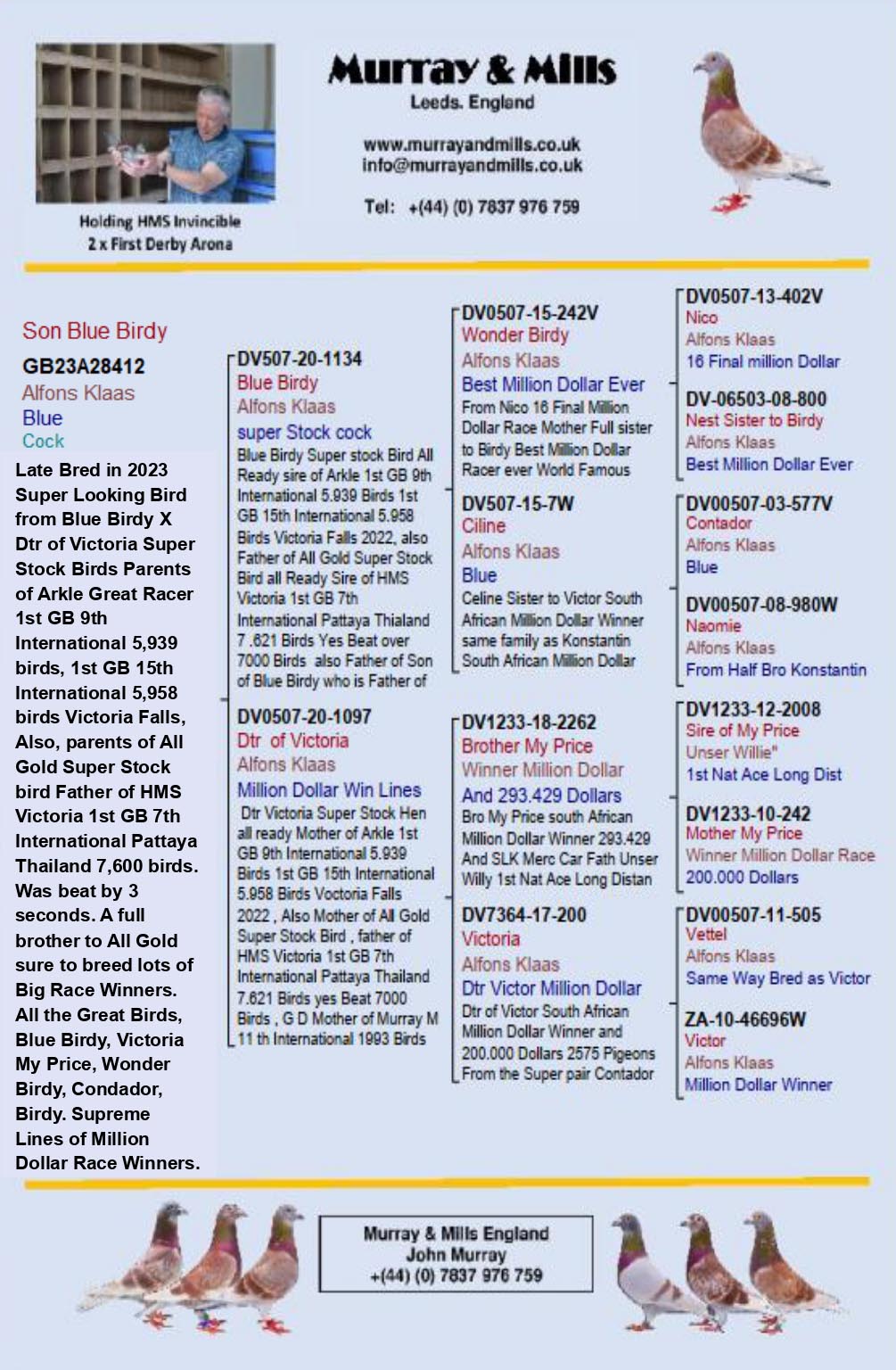 GB 23 A 28412 M - Both parents are top breeders (direct Alfons Klaas)