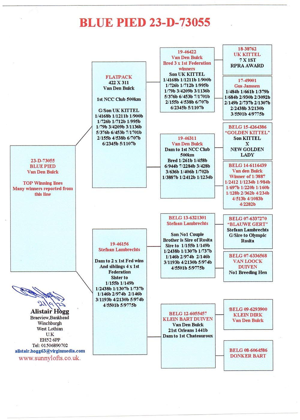 GB 23 D 73055 M - SON 1 NCC 500KM, HALF BROTHER 2 X 1 FED