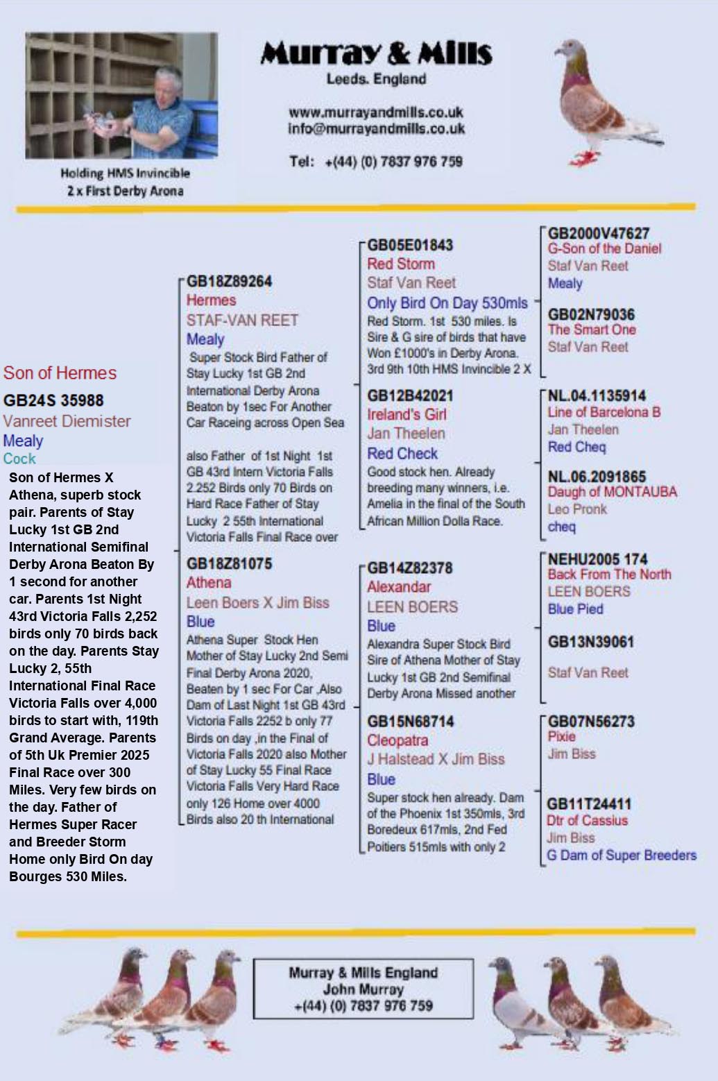GB 24 A 35988 M - Brother 5 Final UK Premier, 43 Final Victoria Falls