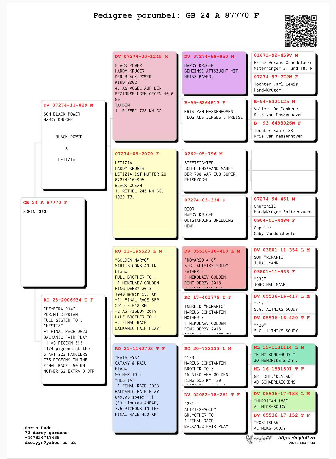 GB 24 A 87770 F - Son Black Power (H Kruger) x Sister 1 Final (1 Ace) BFP (C Porumb)