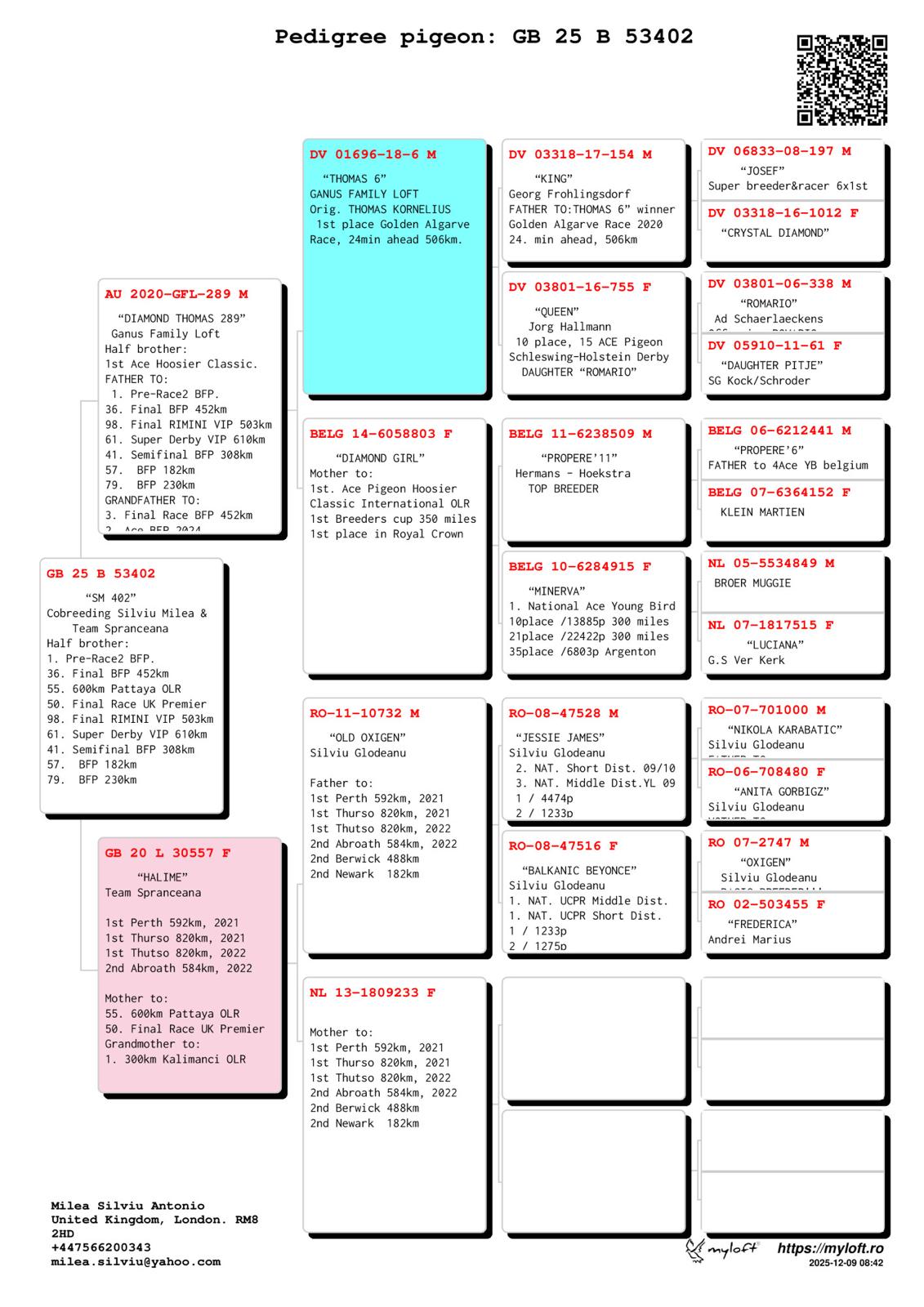 GB 25 B 53402 M - Son Thomas 6 (Gfather 3 Final BFP) x Halima 3x1st (Gmother 1 Kalimanci 300km)