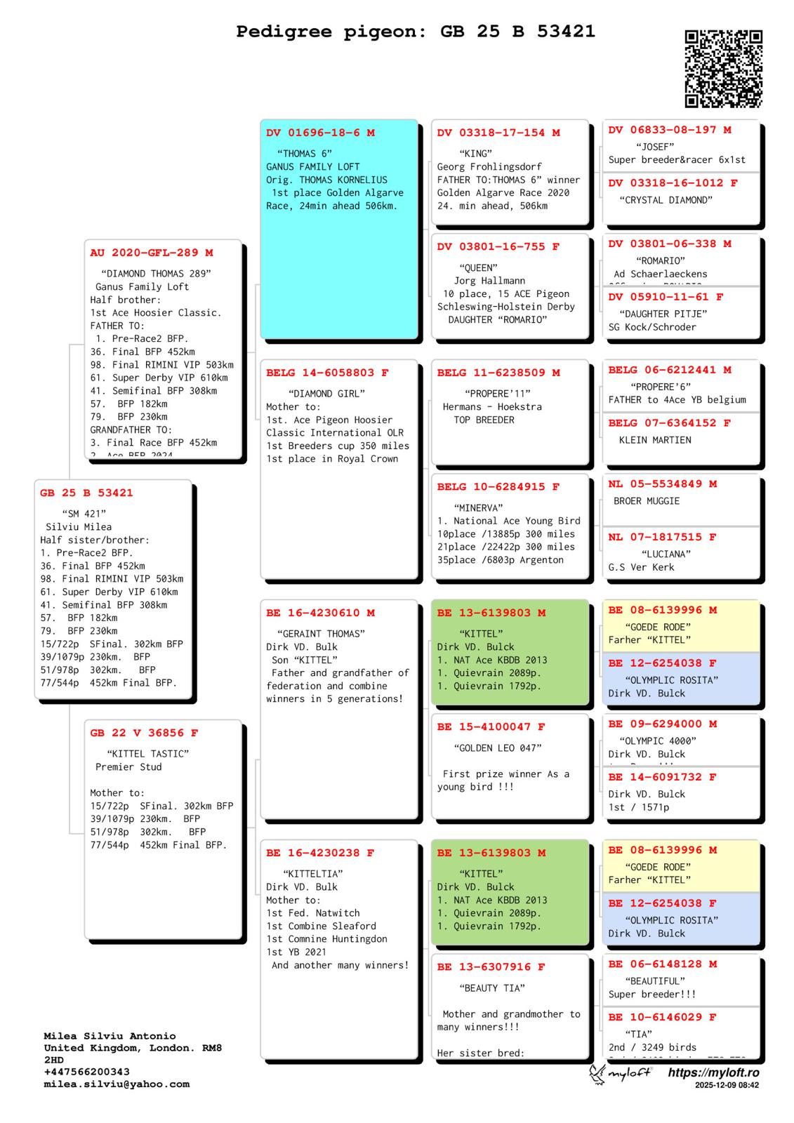 GB 25 B 53421 F - Son Thomas 6 (Gfather 3 Final BFP) x Double Granddaughter Kittel