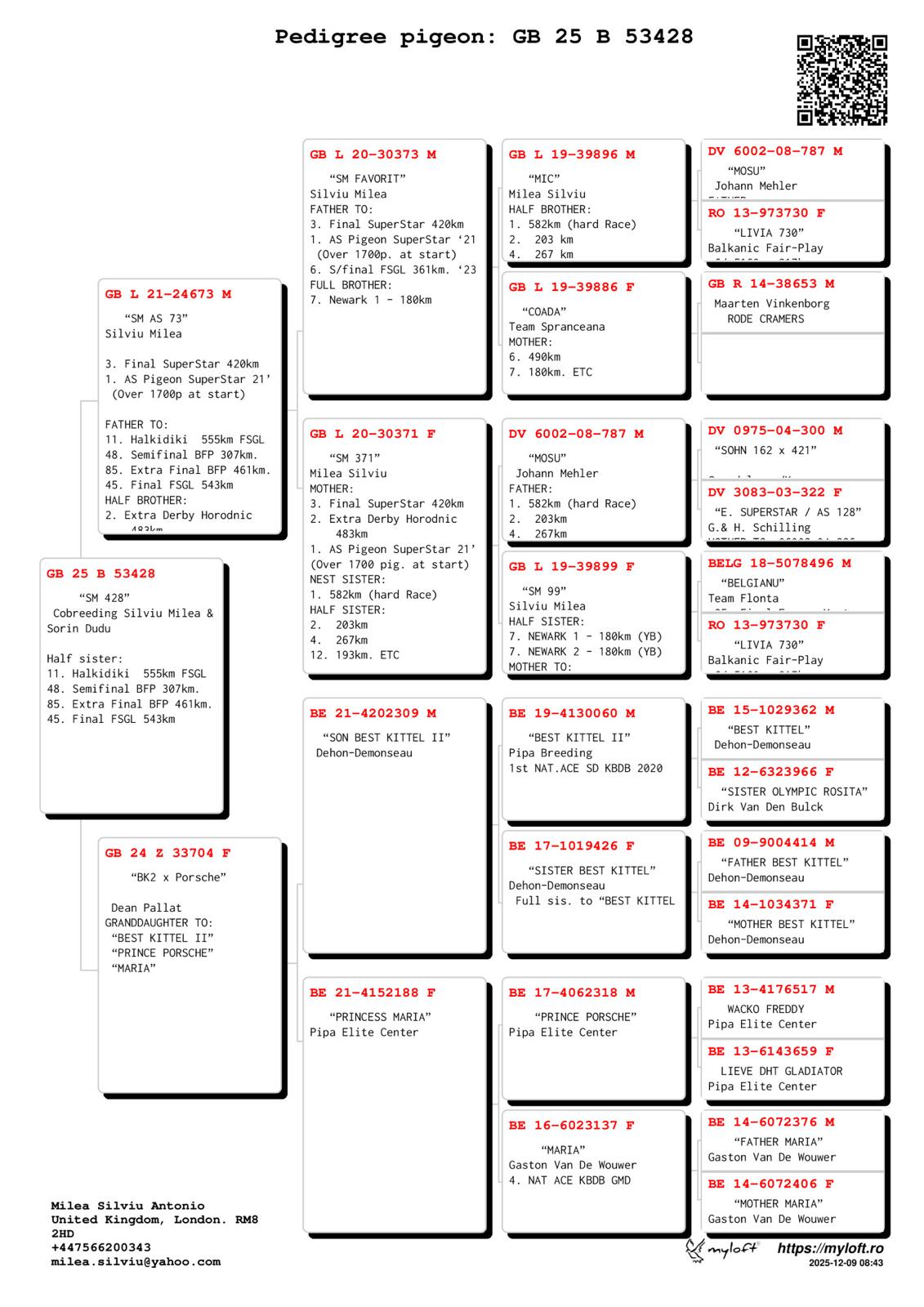 GB 25 B 53428 F - Daughter 1 Ace Superstar Romania